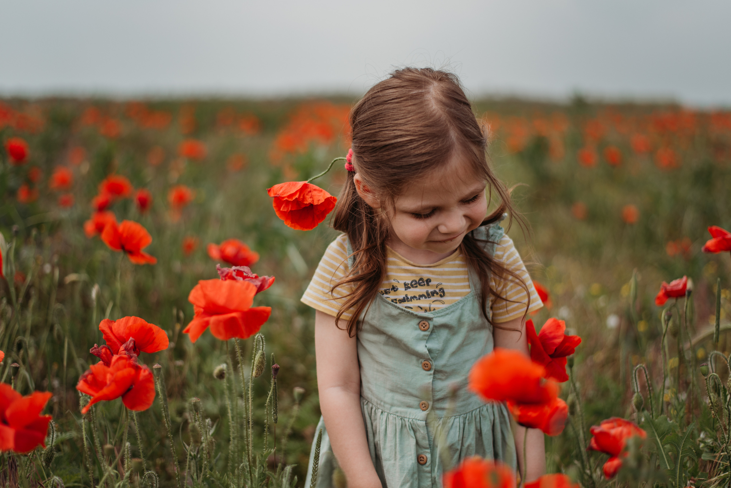 Маки. Семейный фотограф СПб