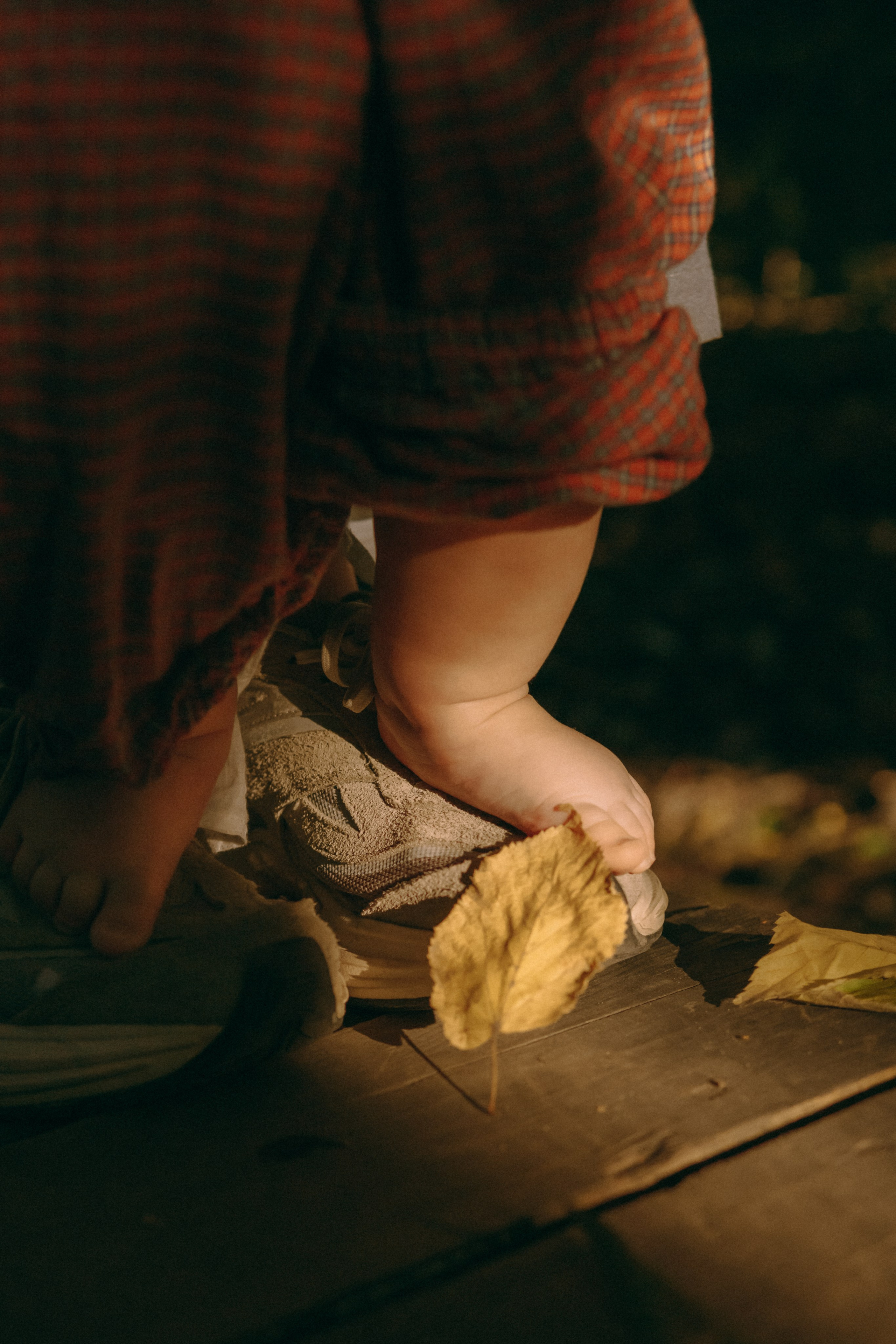 Маша и Мирра. Фотограф-анималист Ксения Воробьева, Москва