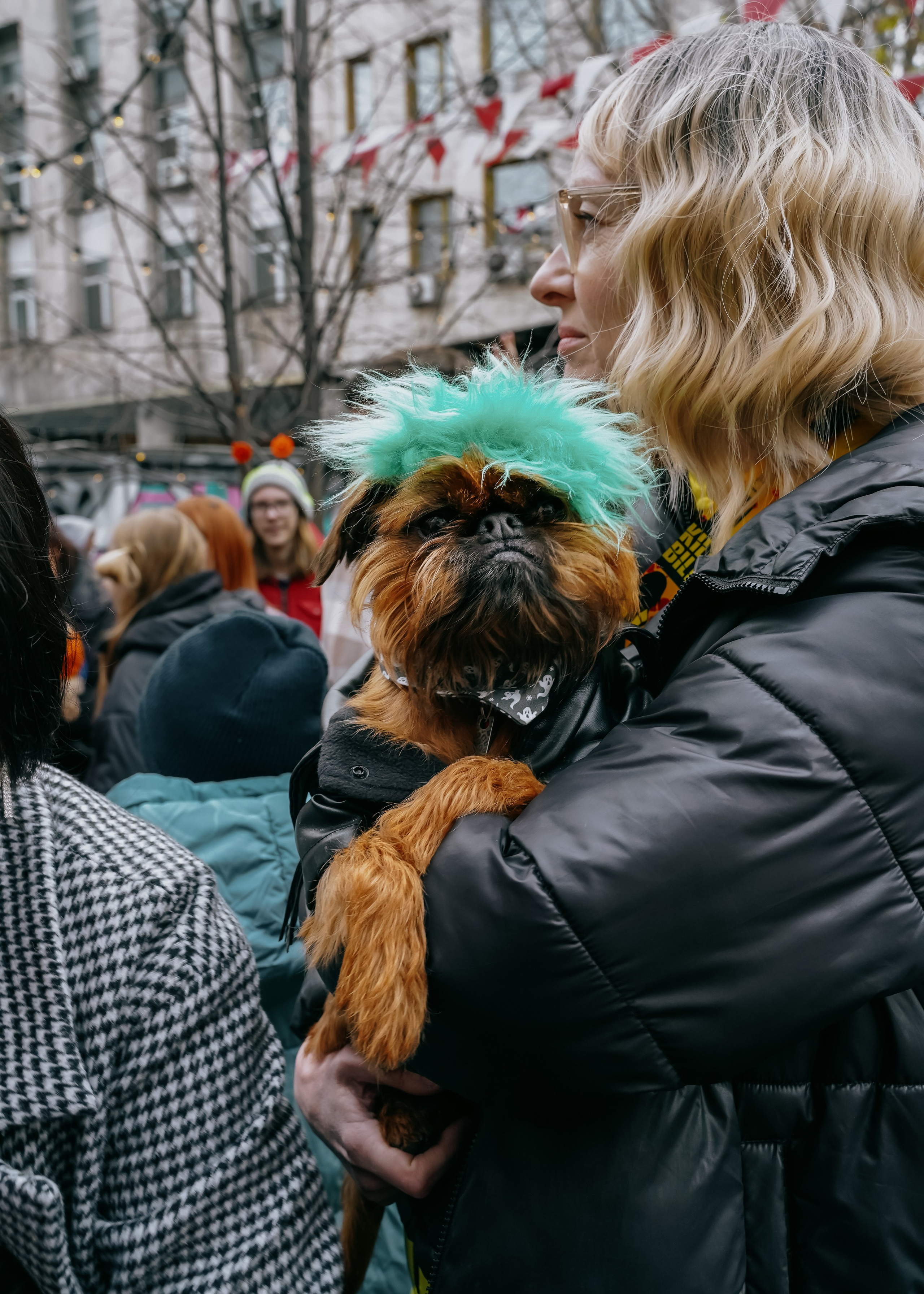 Тематическая встреча породников «Griffween». Фотограф-анималист Ксения Воробьева, Москва