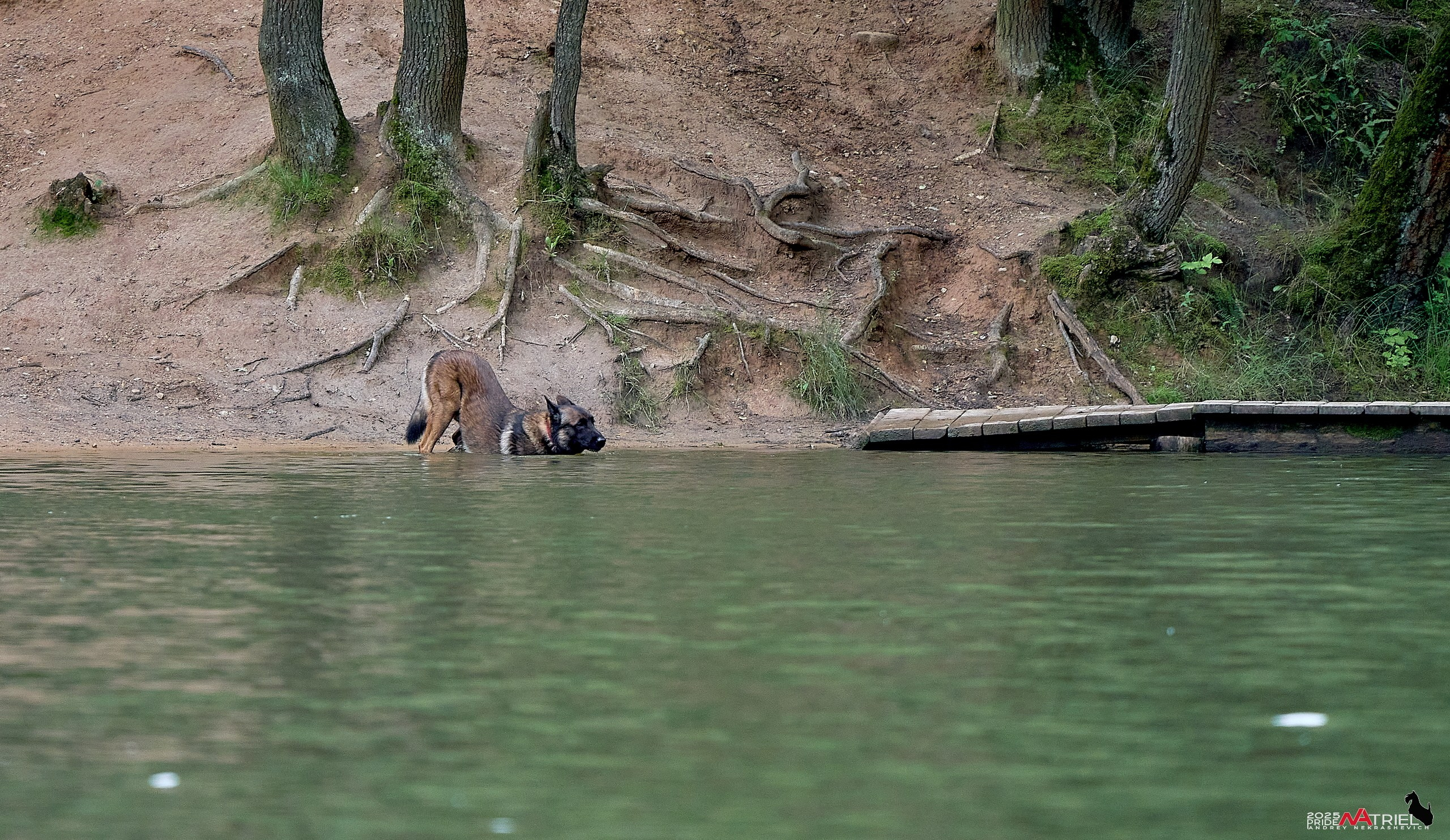 Съемка в парке на воде