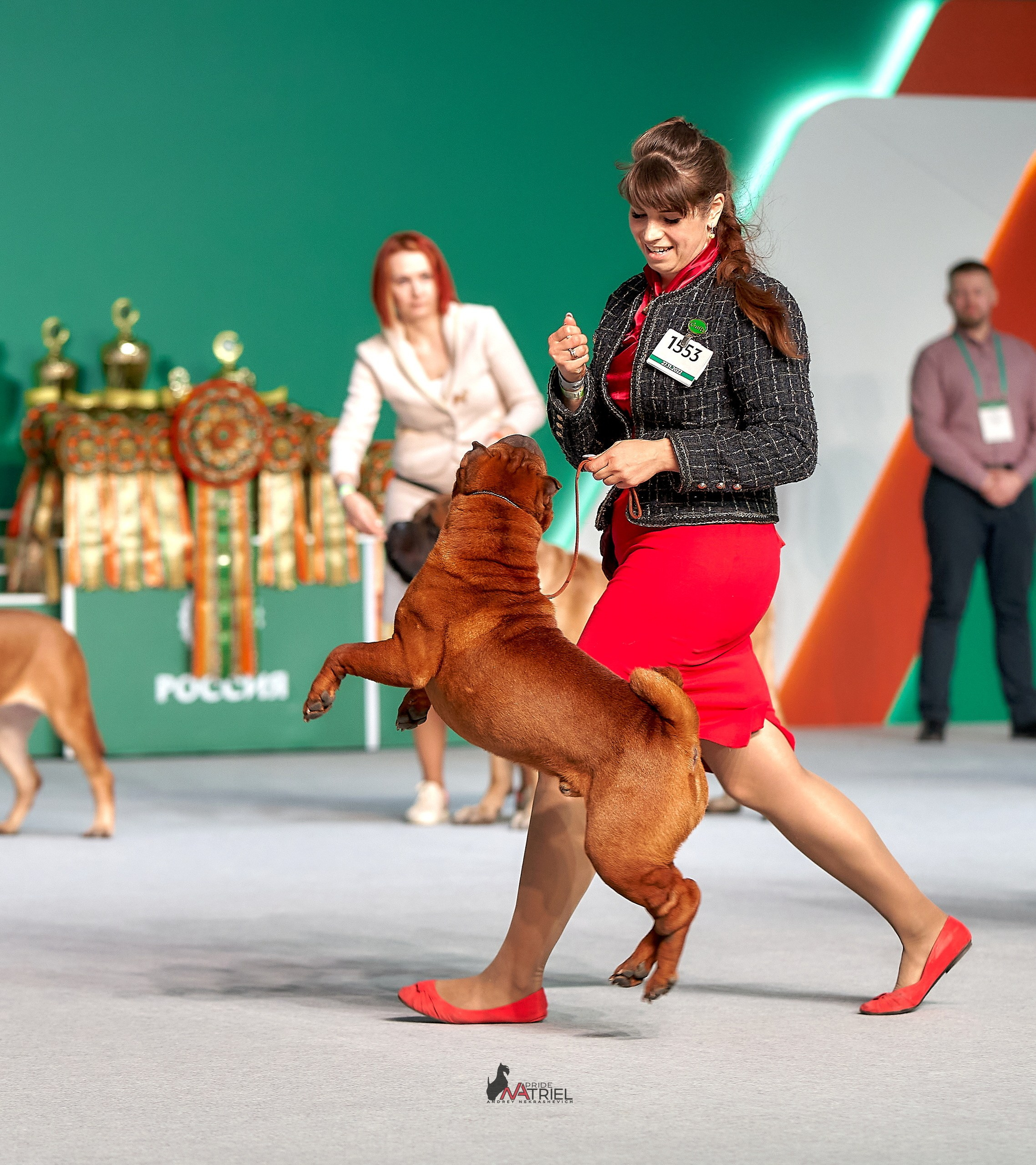 Призовые места — галерея NATRIEL