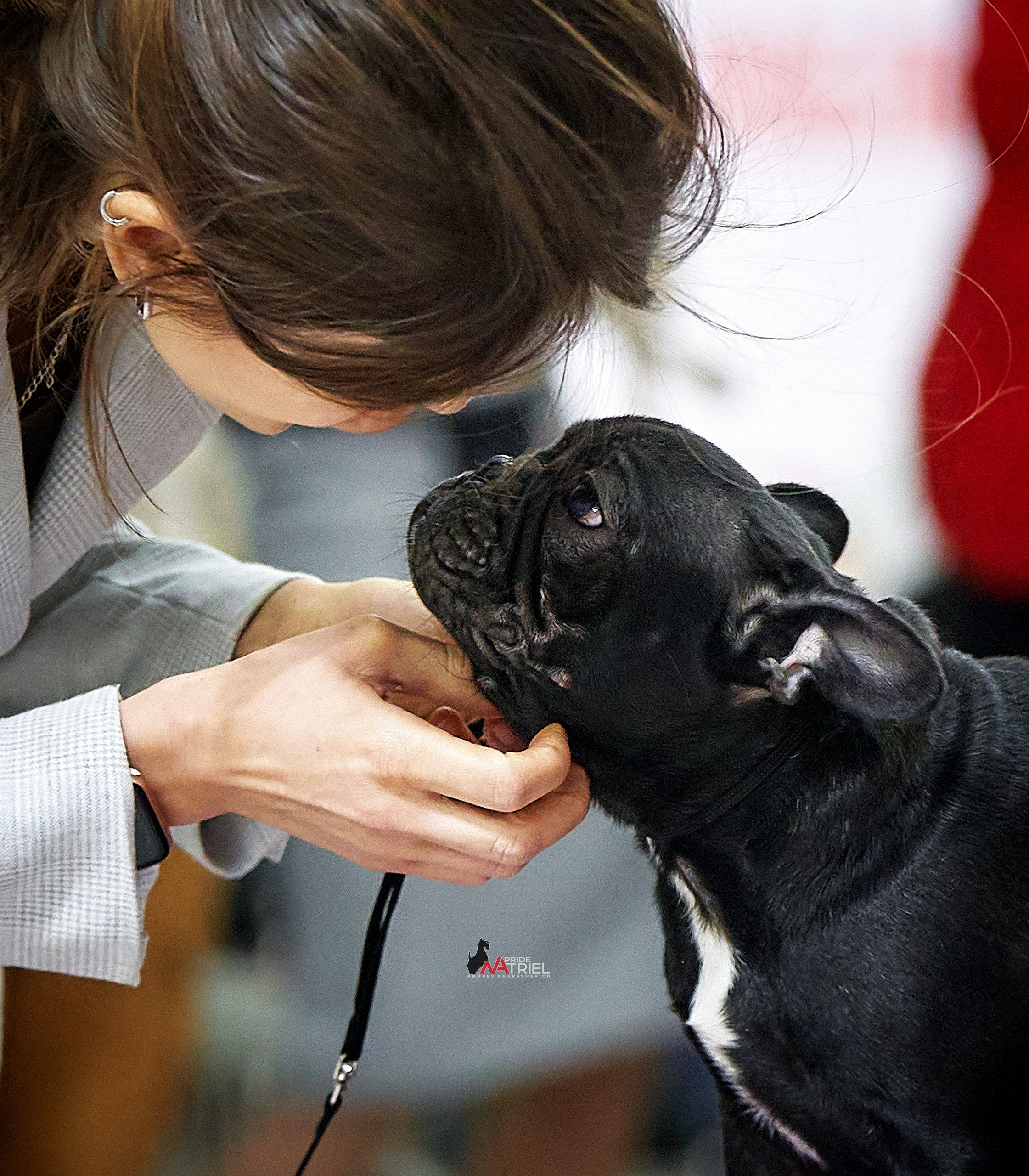 Собаки и Люди — галерея NATRIEL