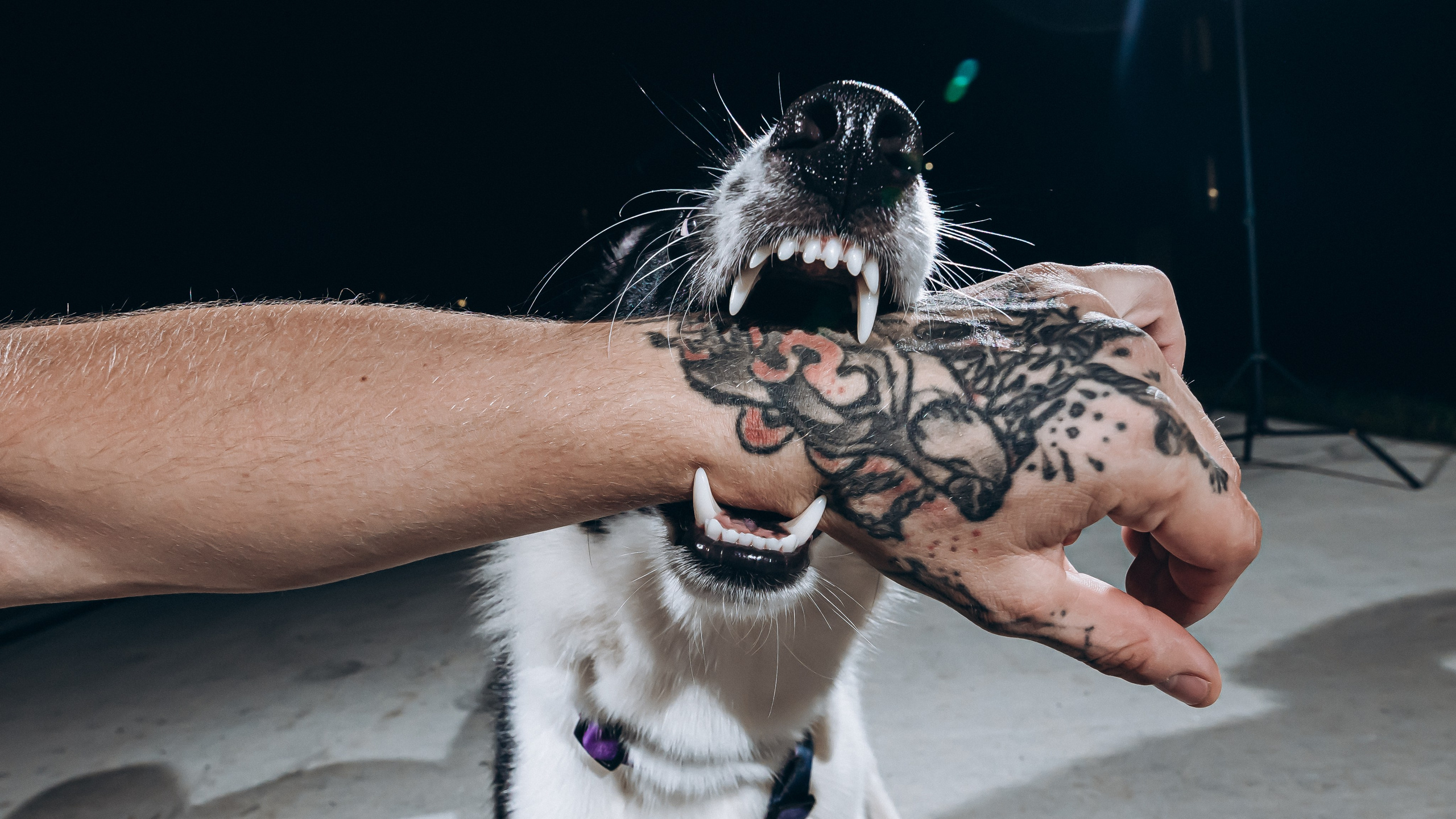 Юра. Фотограф в Благовещенске Андрей Сенченко