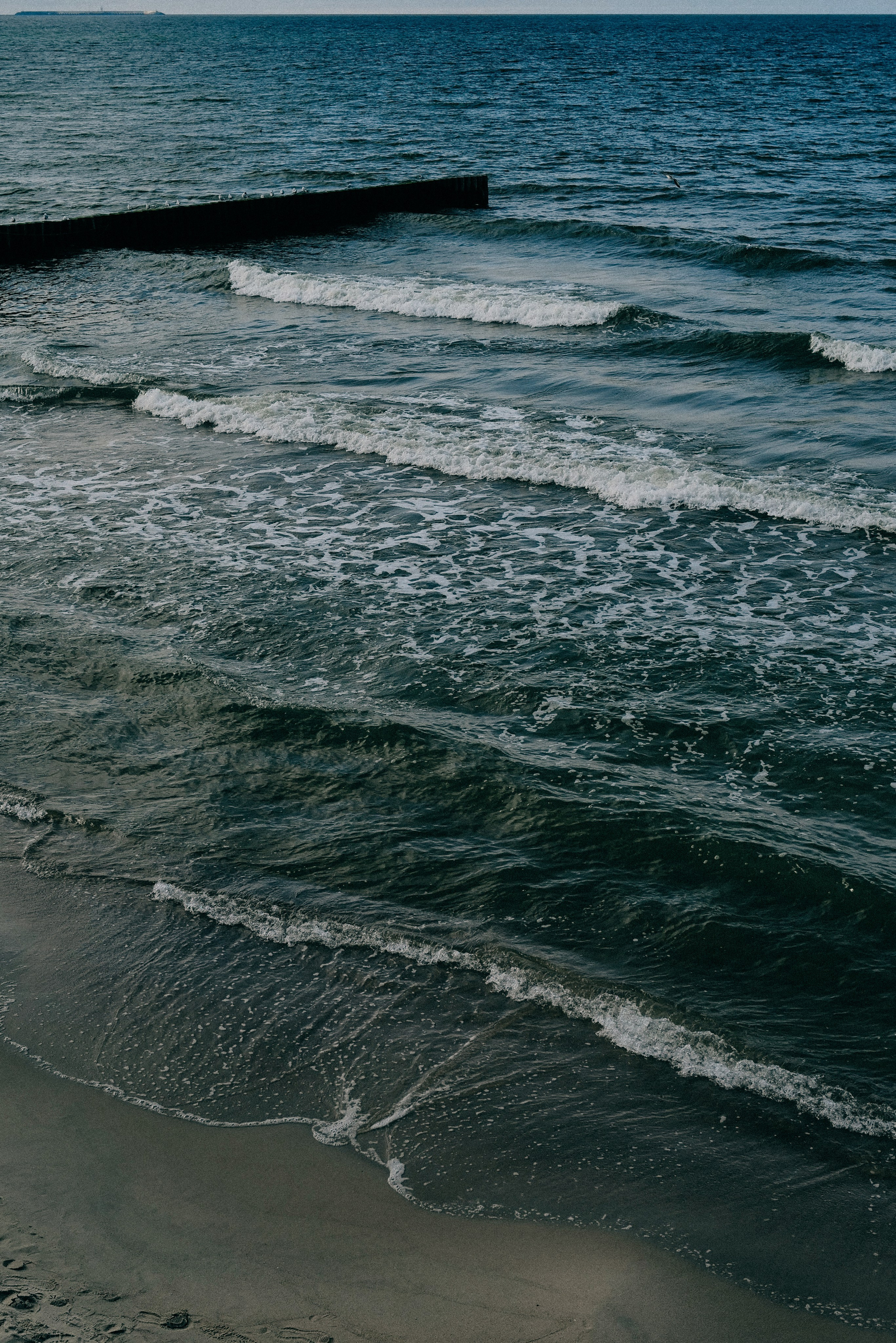 Zelenogradsk. Фотограф София Комкина