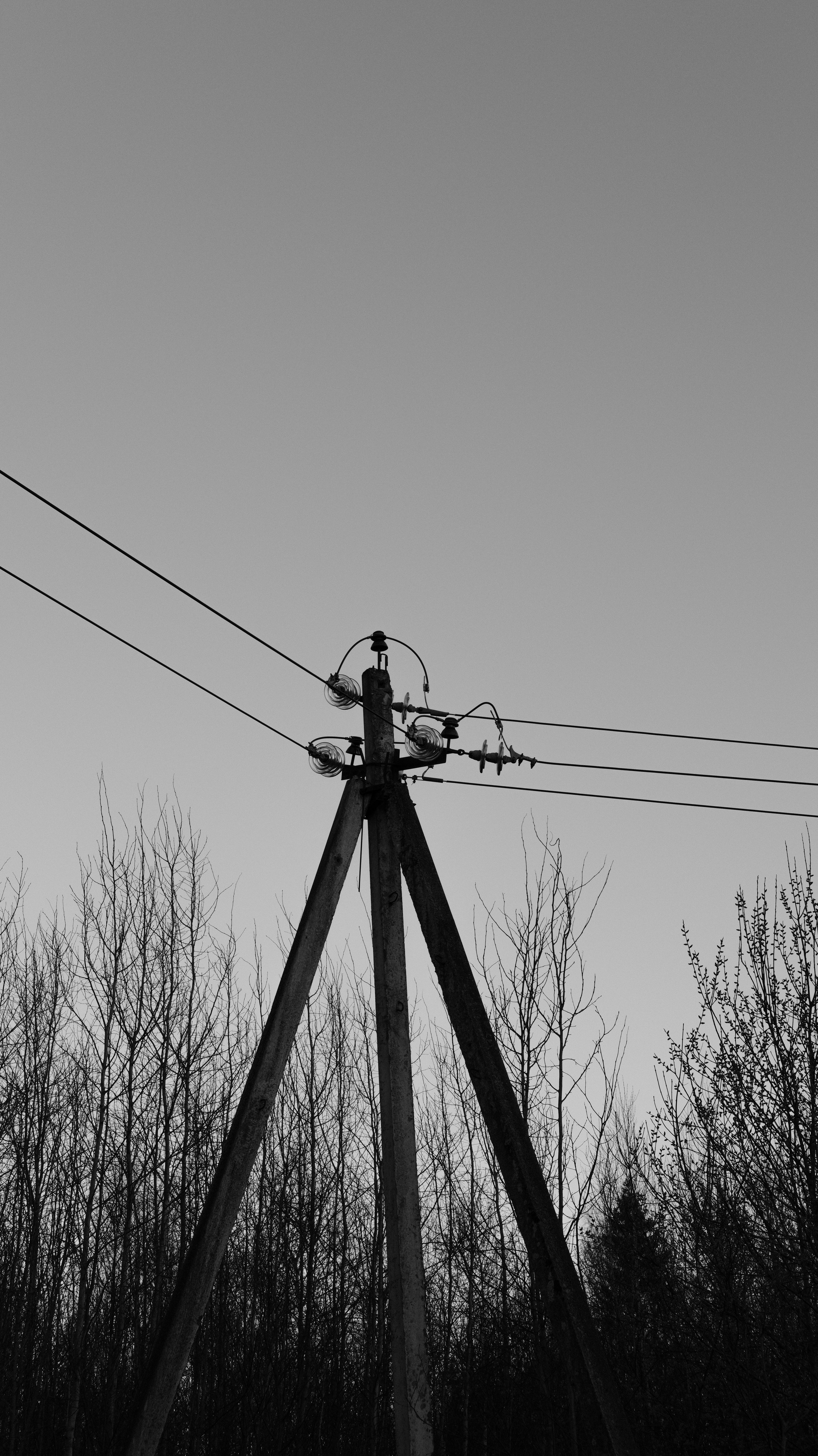 Природа. Фотограф Маргана Лоция