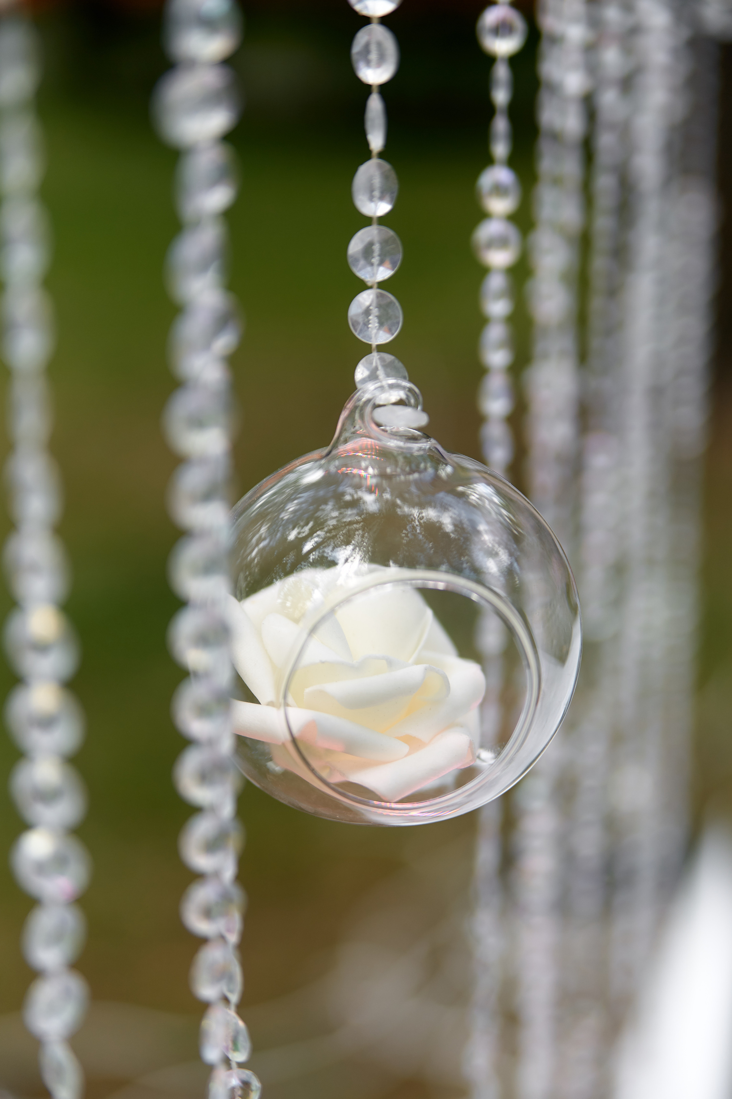 Станислав и Дарья. Анонс. Профессиональный фотограф Светлана Писарева