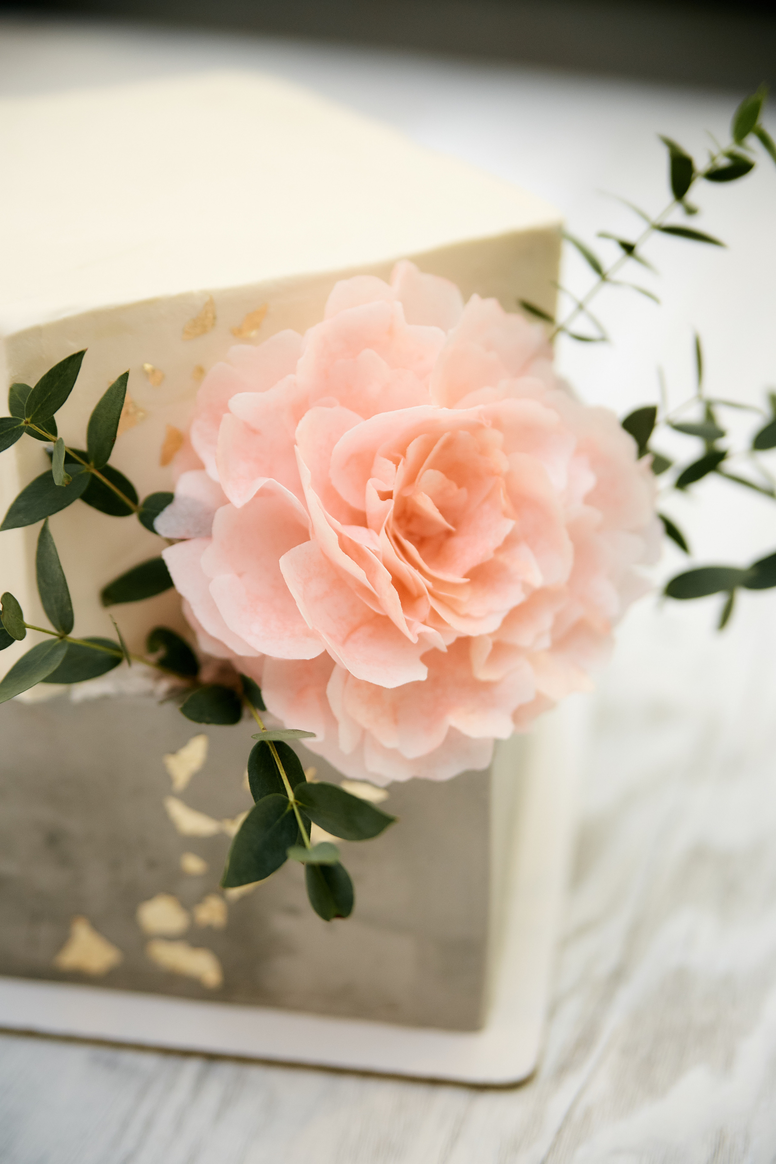 Михаил и Джамиля. Анонс. Профессиональный фотограф Светлана Писарева