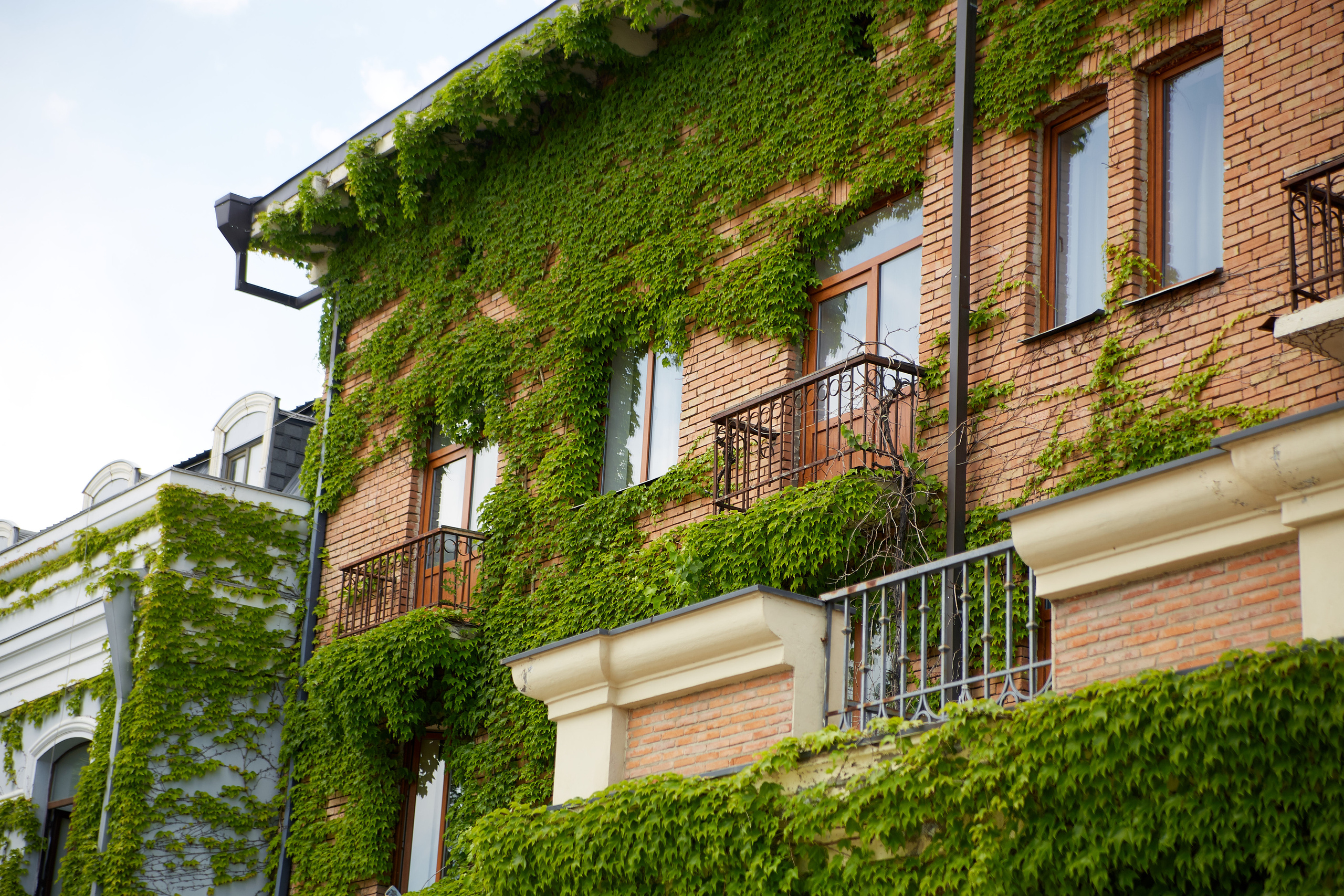 Грузия. Профессиональный фотограф Светлана Писарева