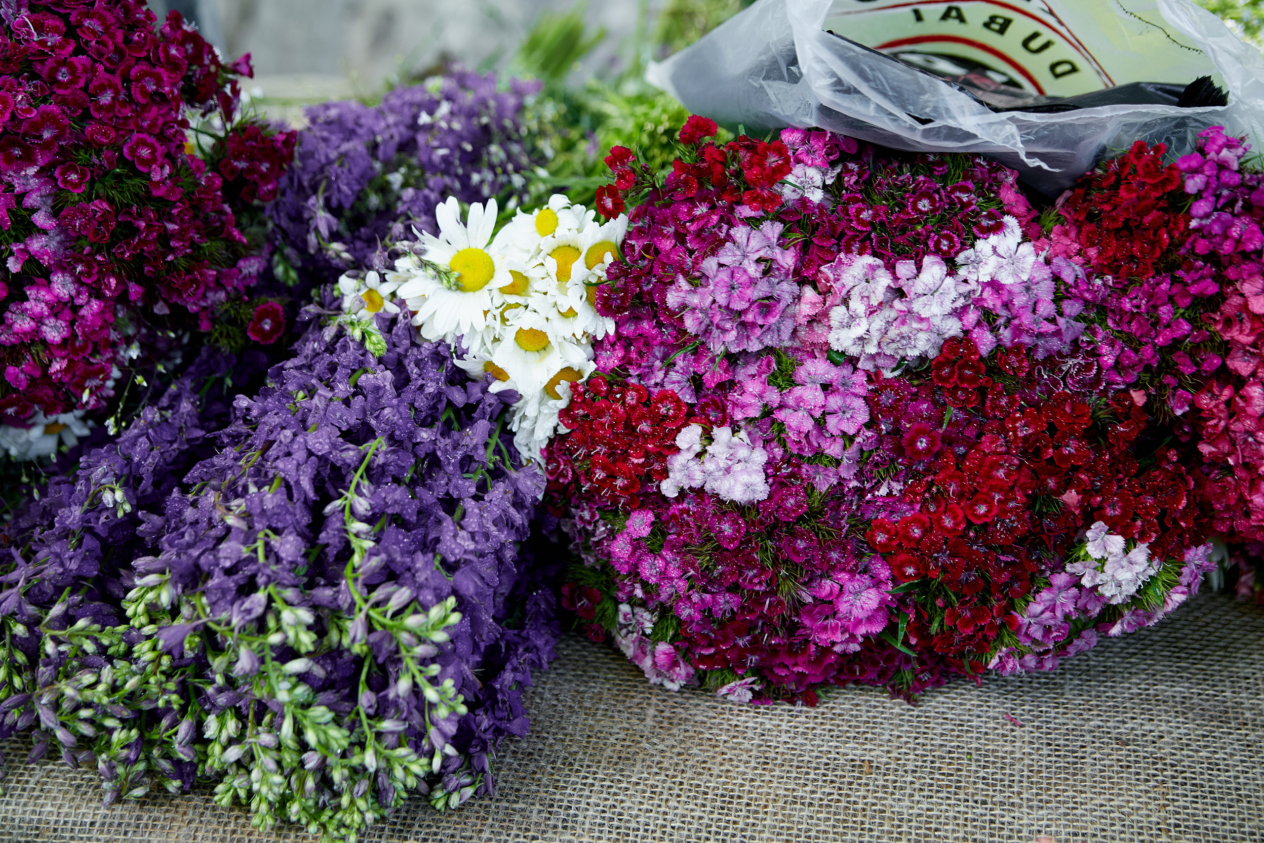 Грузия. Профессиональный фотограф Светлана Писарева