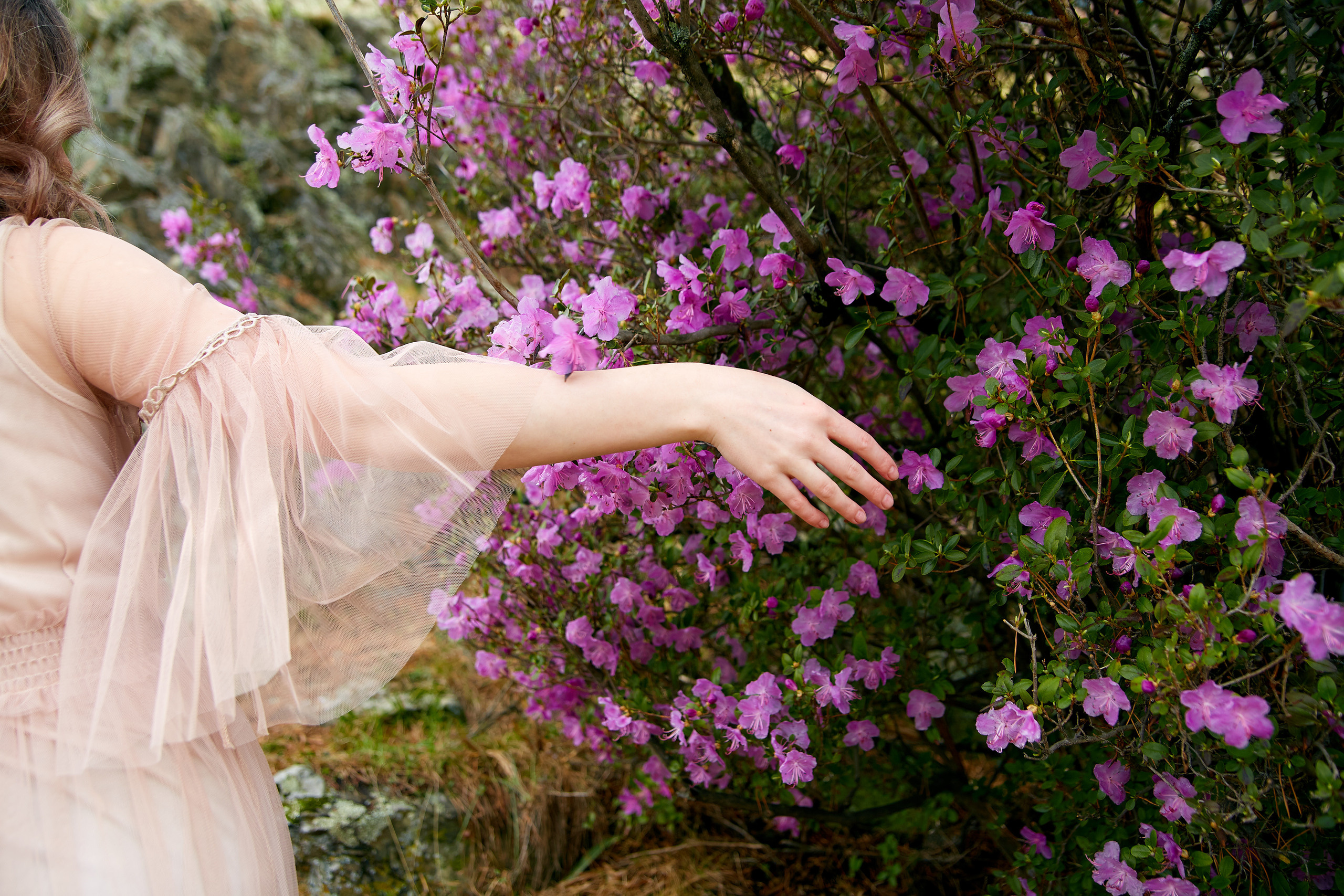 Love Story. Профессиональный фотограф Светлана Писарева