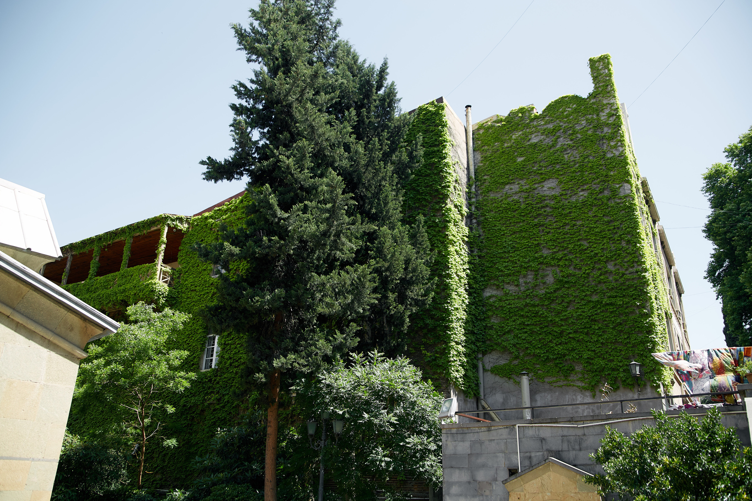 Грузия. Профессиональный фотограф Светлана Писарева