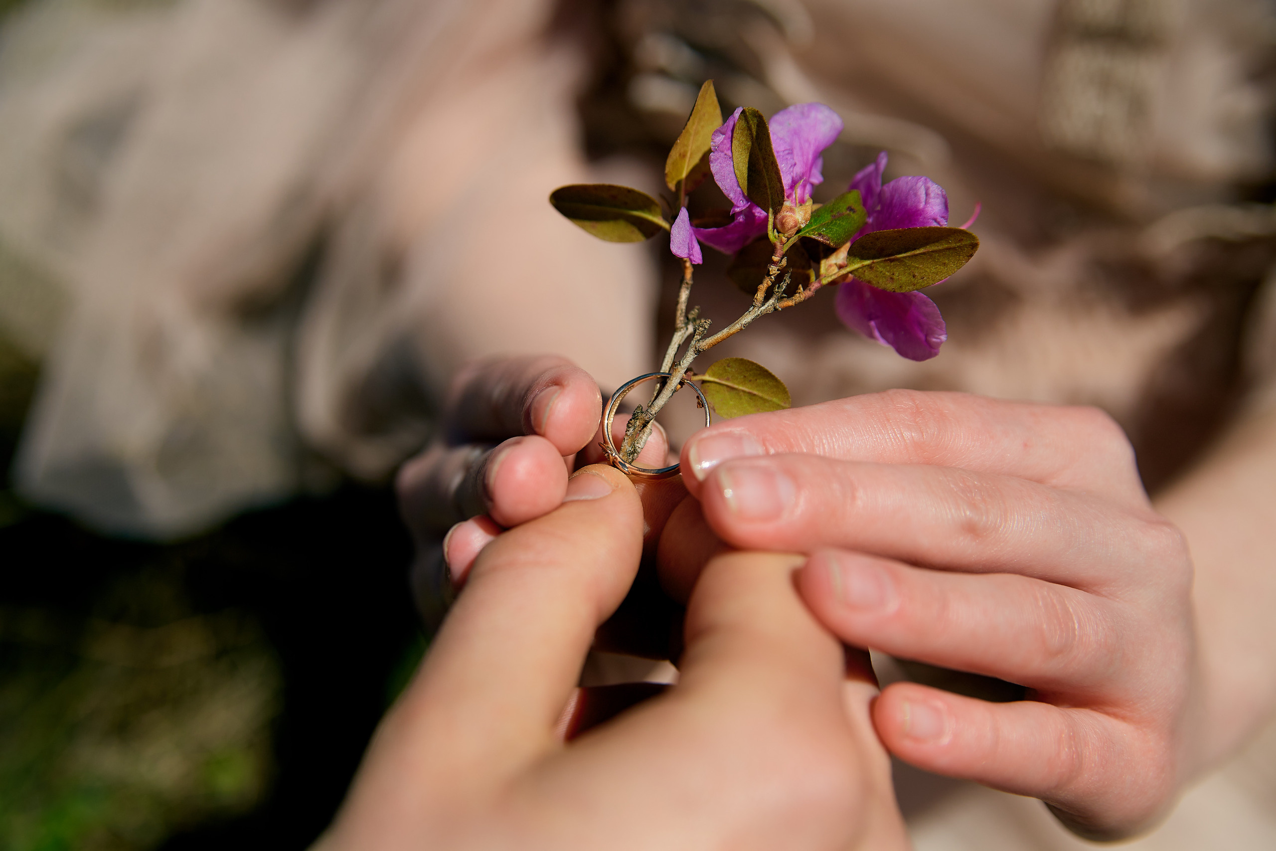Love Story. Профессиональный фотограф Светлана Писарева