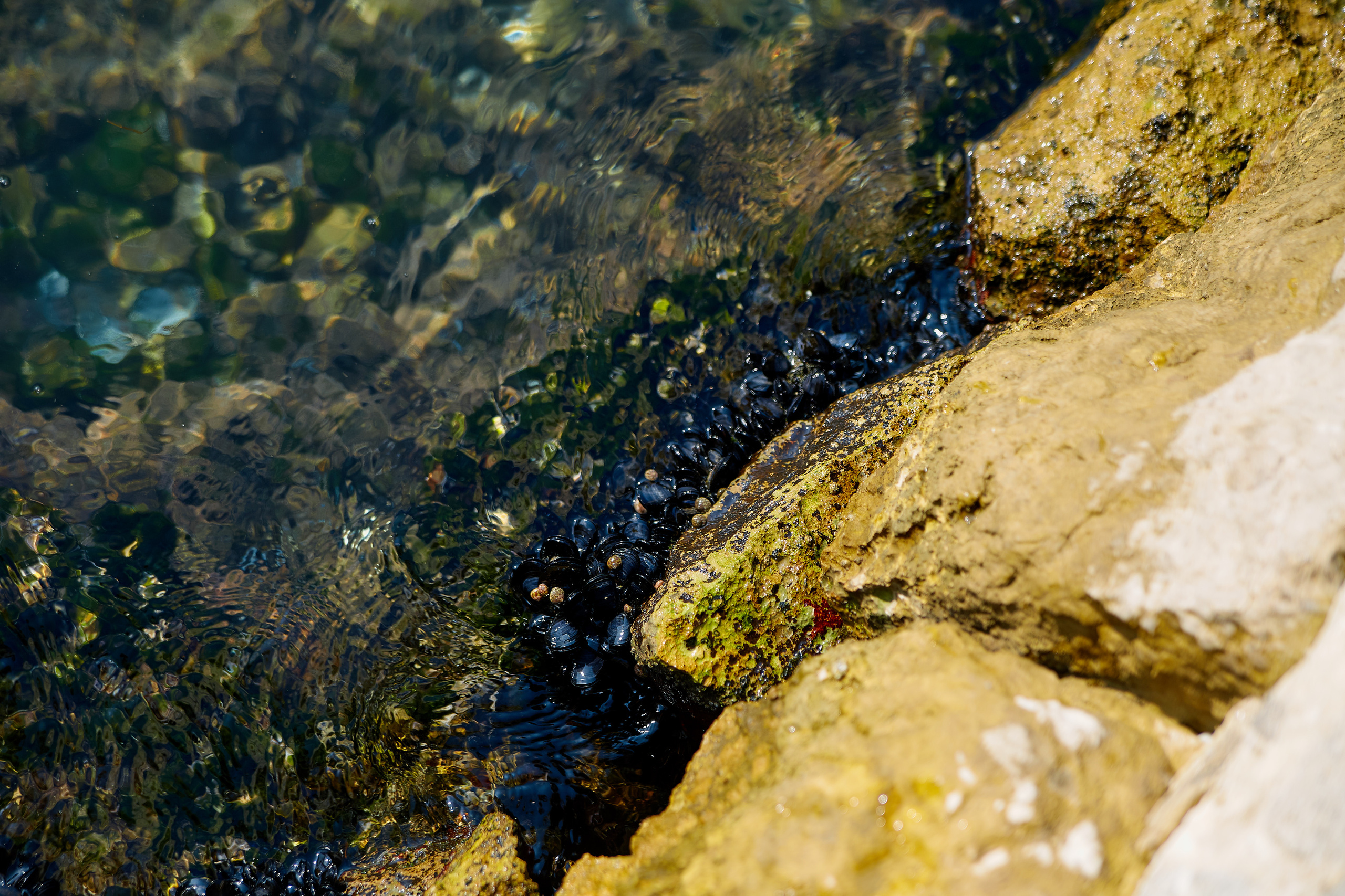 Montenegro. Профессиональный фотограф Светлана Писарева