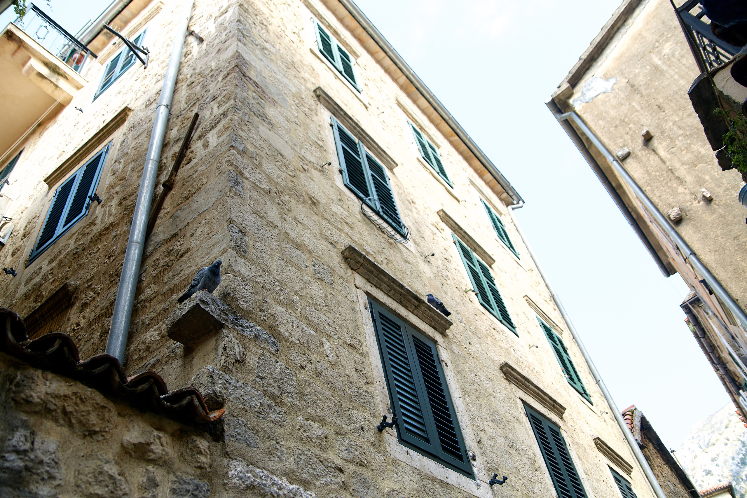 Montenegro. Профессиональный фотограф Светлана Писарева