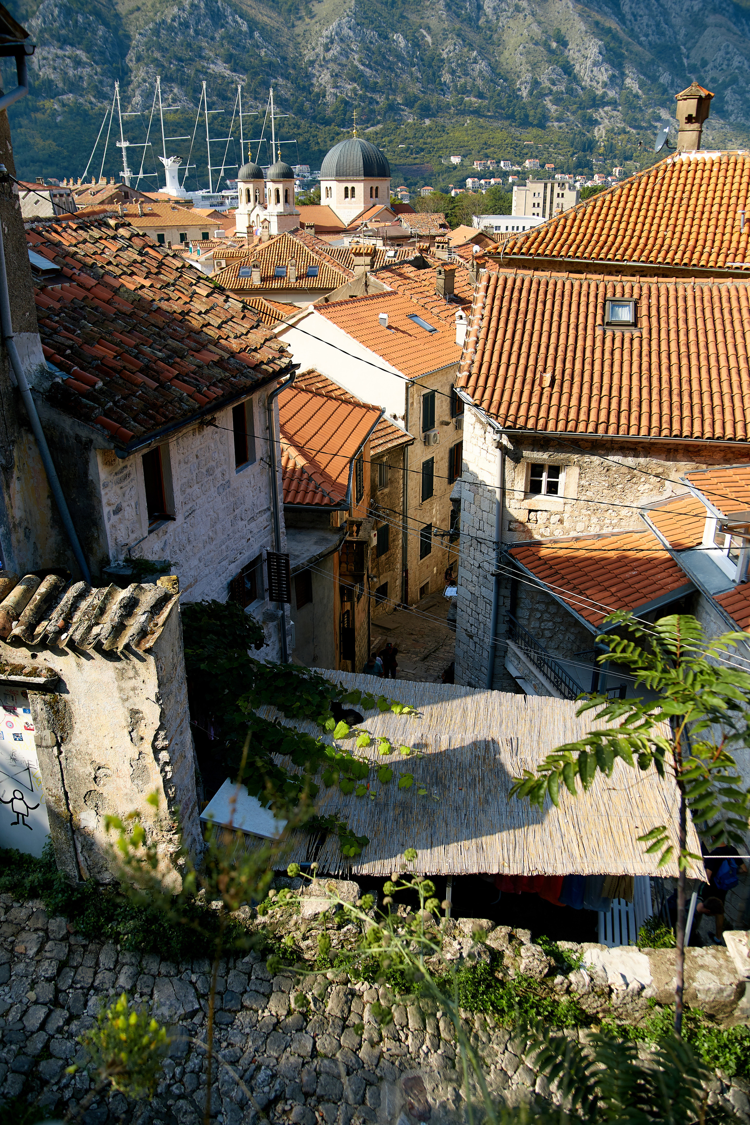 Montenegro. Профессиональный фотограф Светлана Писарева