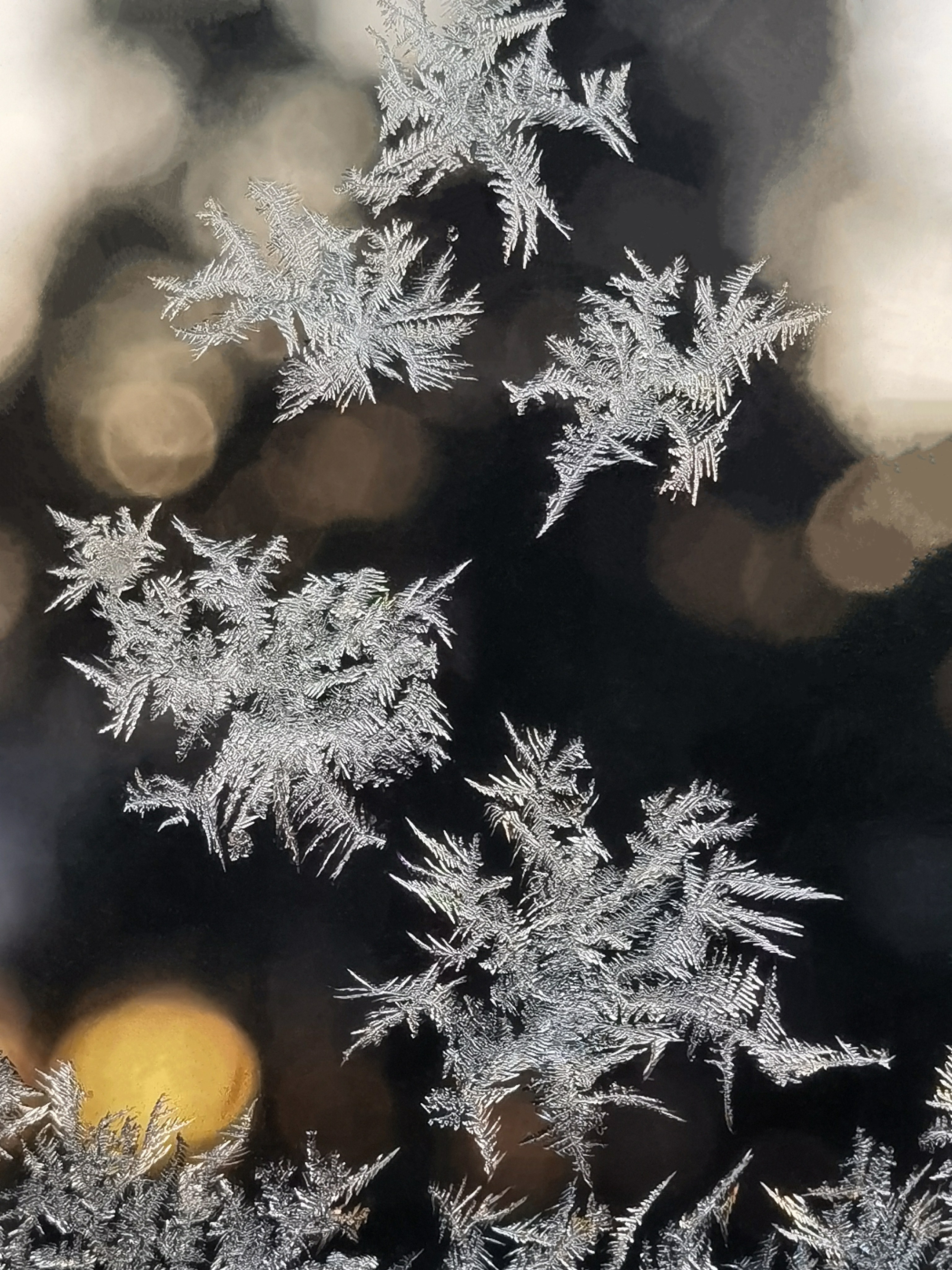 Макро. Фотограф Лагутин Анатолий