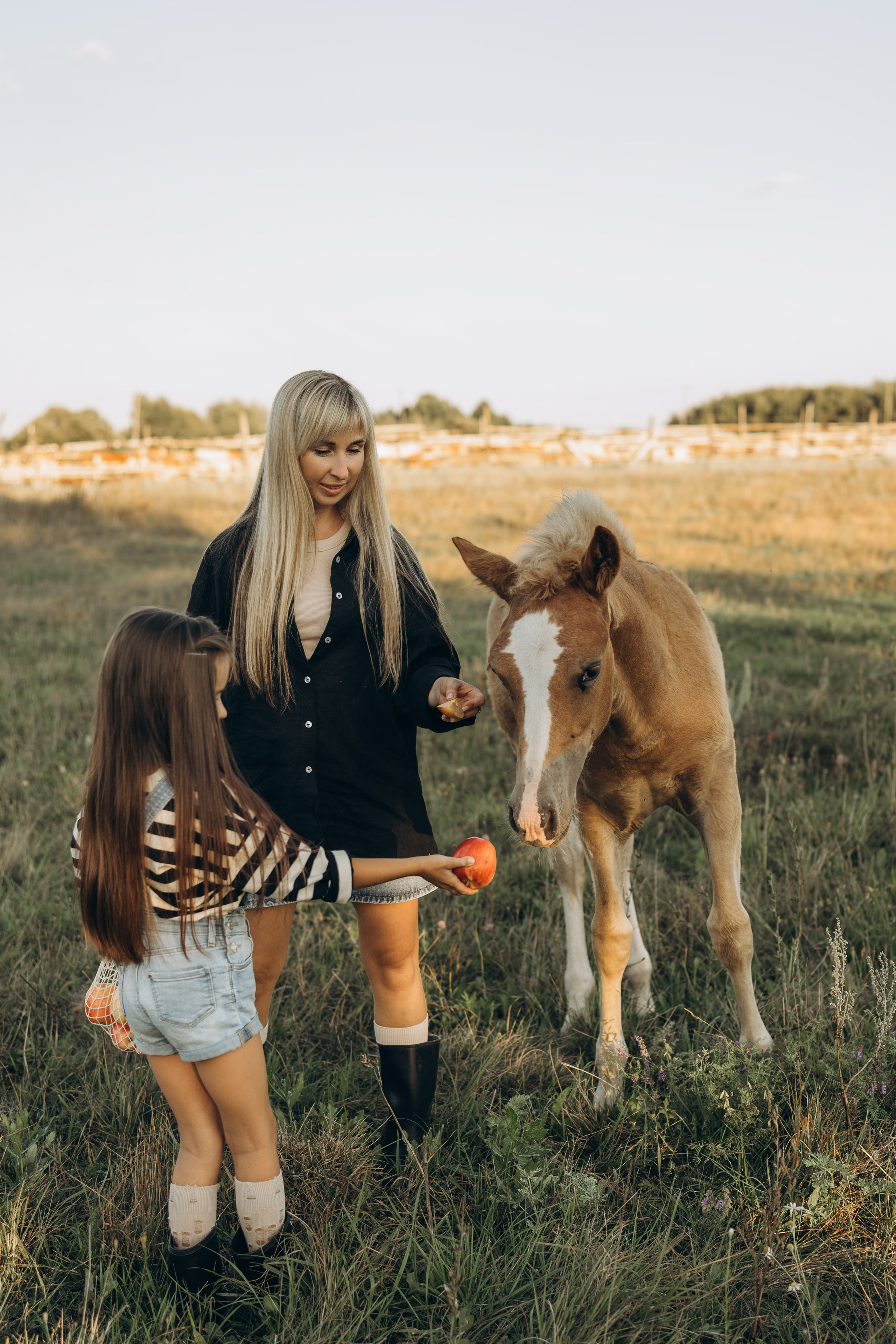 Детство, лошади, природа. Семейный фотограф Москва. Фотограф беременности и материнства Москва