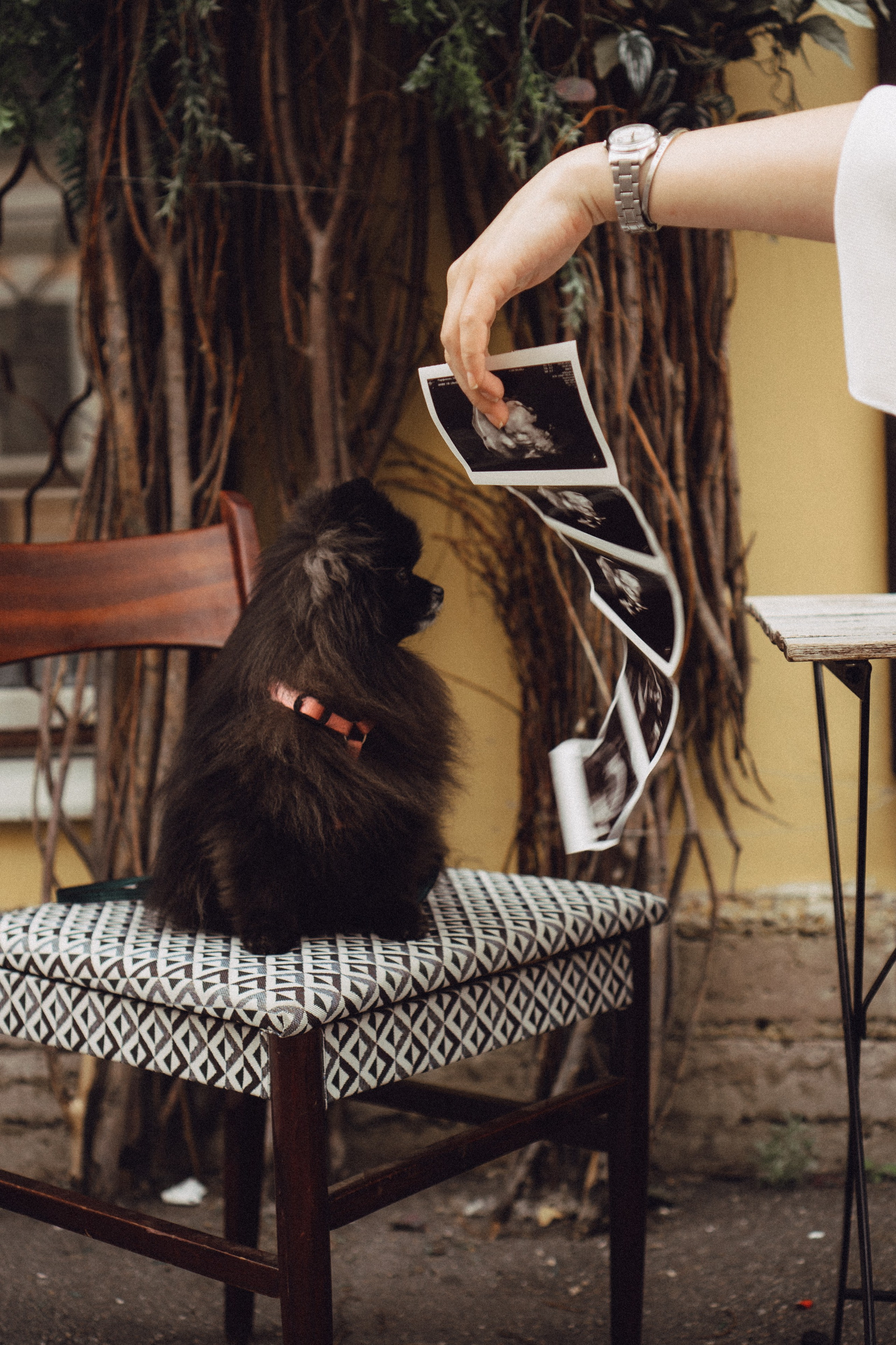 Беременность (только часть фото по желанию клиентов могу показать)). Профессиональный фотограф, Санкт-Петербург — Виктория Богомолова