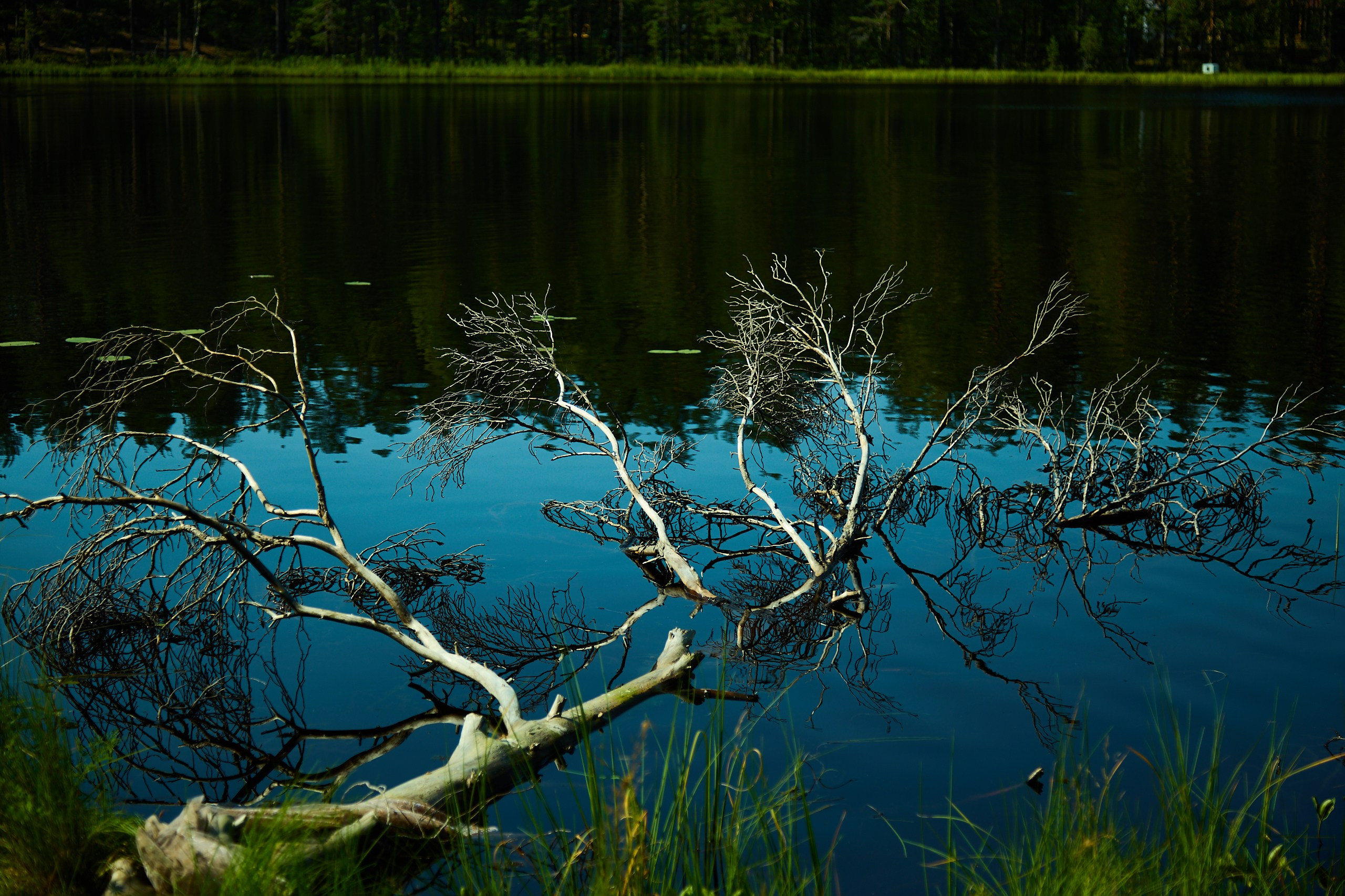 ETHNOSCOPE FEST. Фотограф в Санкт-Петербурге Лазарев Евгений