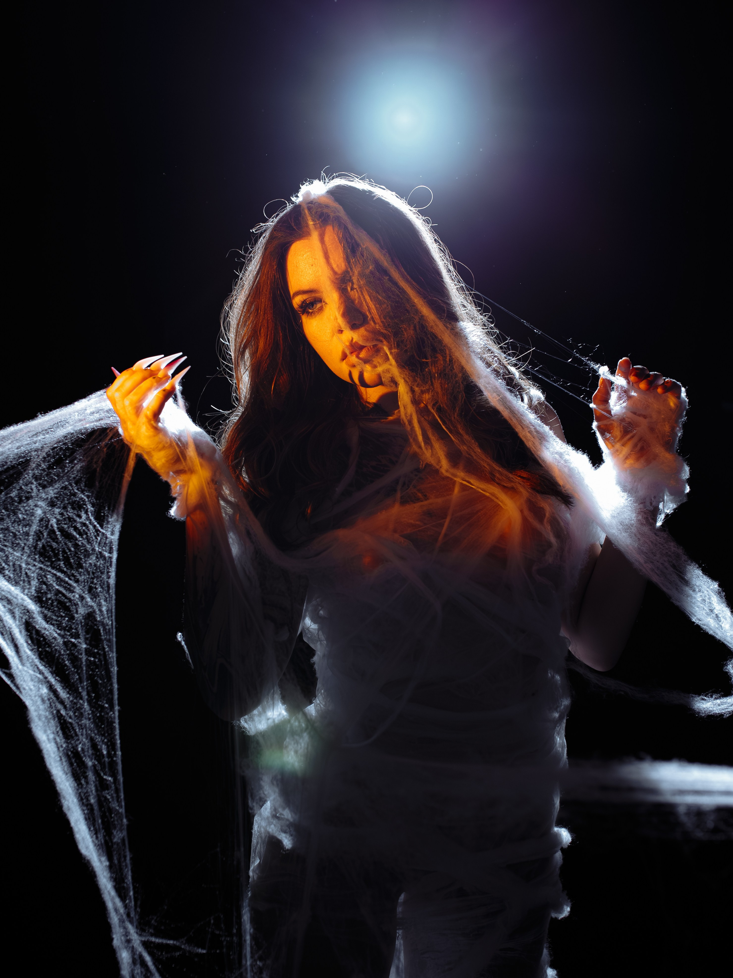 Diibae spider. Фотограф из Санкт-Петербурга Валерия Ленских