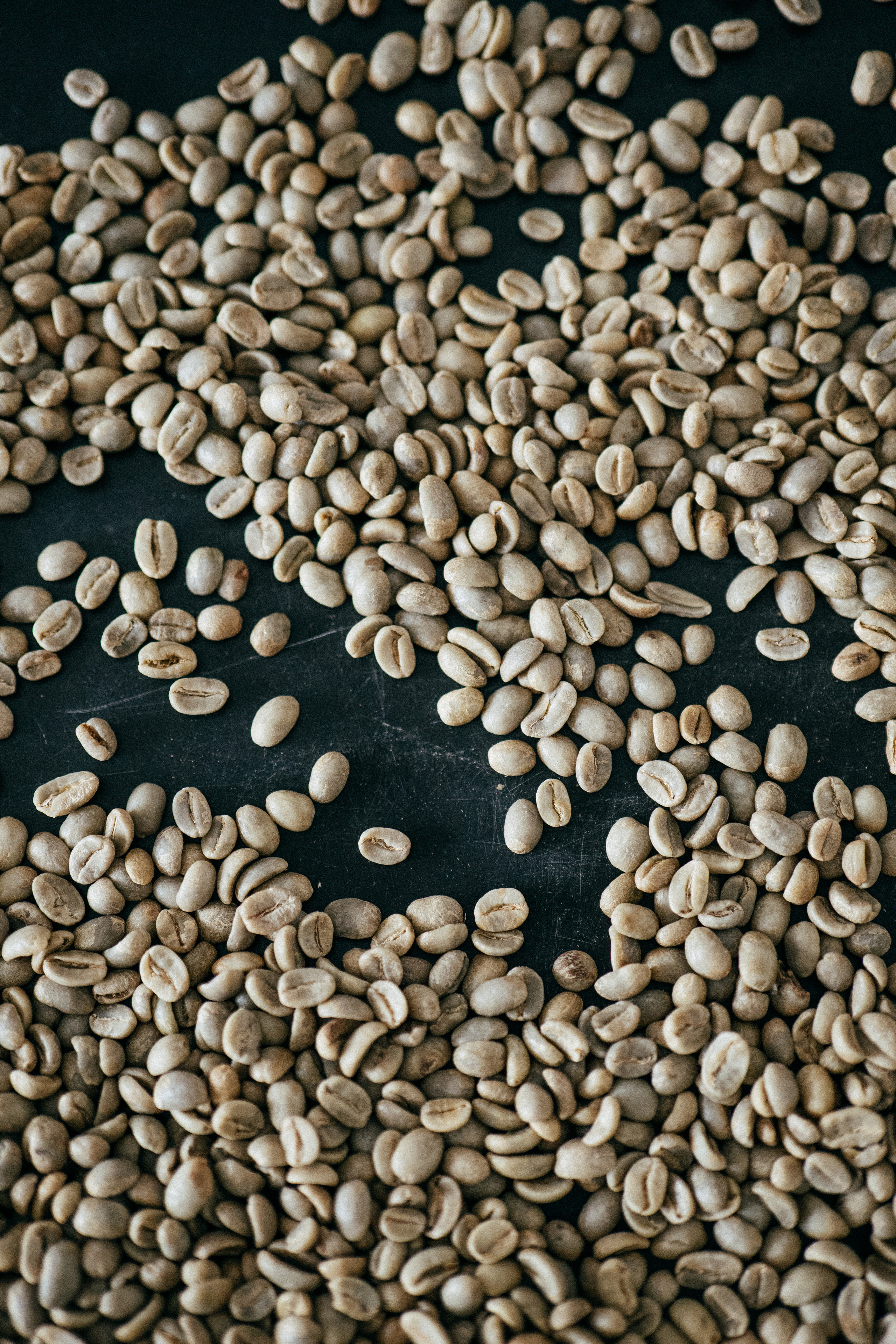 Производство Rockets Coffee. Создание контента | Фото | Видеосъемка | Александр Ярков