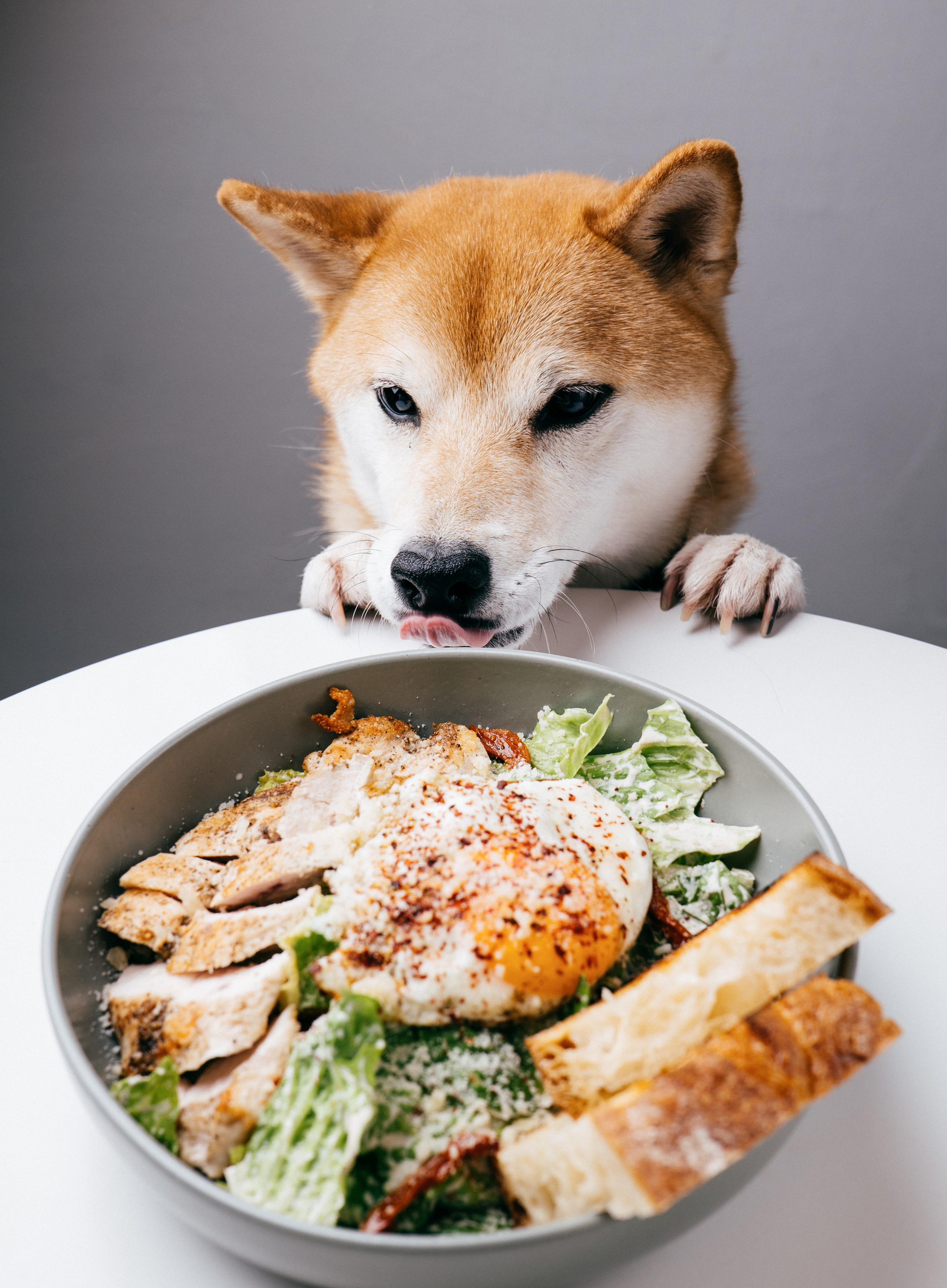 Фуд — съемка для меню. Создание контента | Фото | Видеосъемка | Александр Ярков