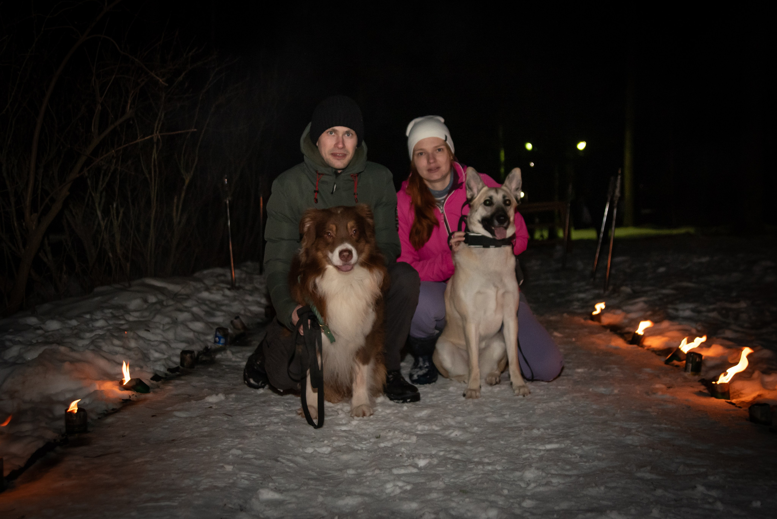 Фотосъёмка с собаками в Кинологическом лагере. Фотограф Макс Огурцов в Нижнем Новгороде
