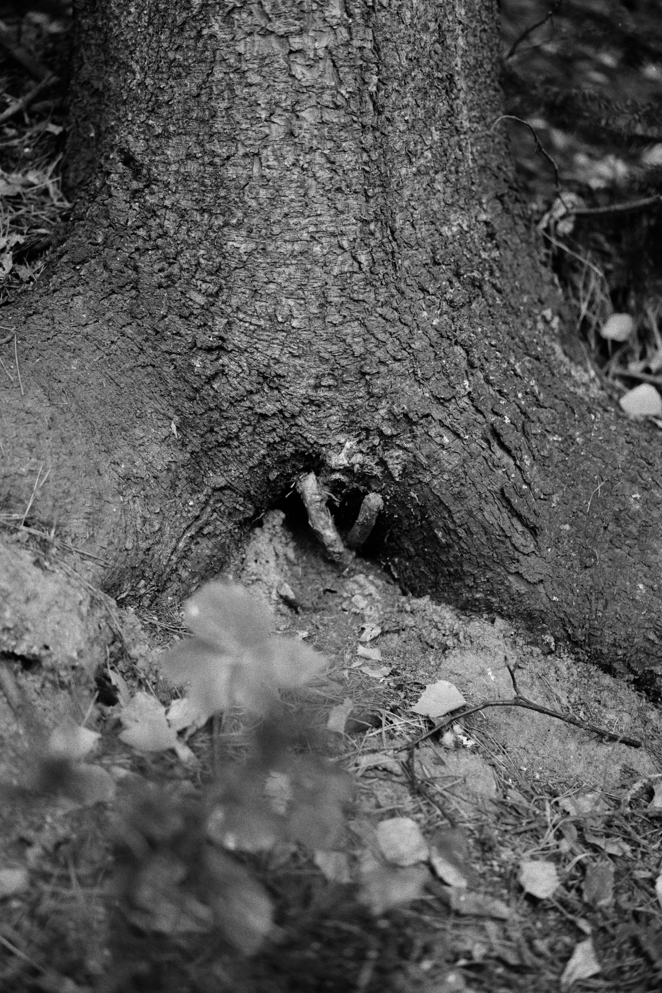 Нагорный Иштан. Veronika Popadeikina Photographer