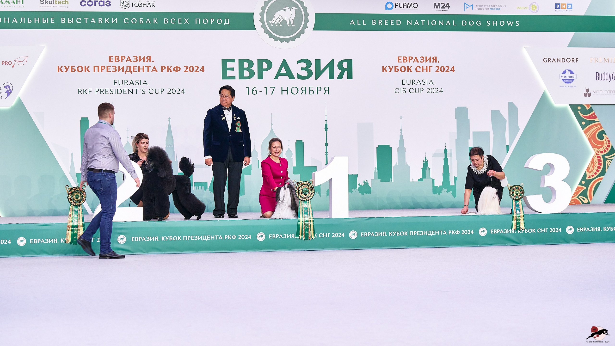 16.11.2024 «ЕВРАЗИЯ. КУБОК ПРЕЗИДЕНТА РКФ 2024»