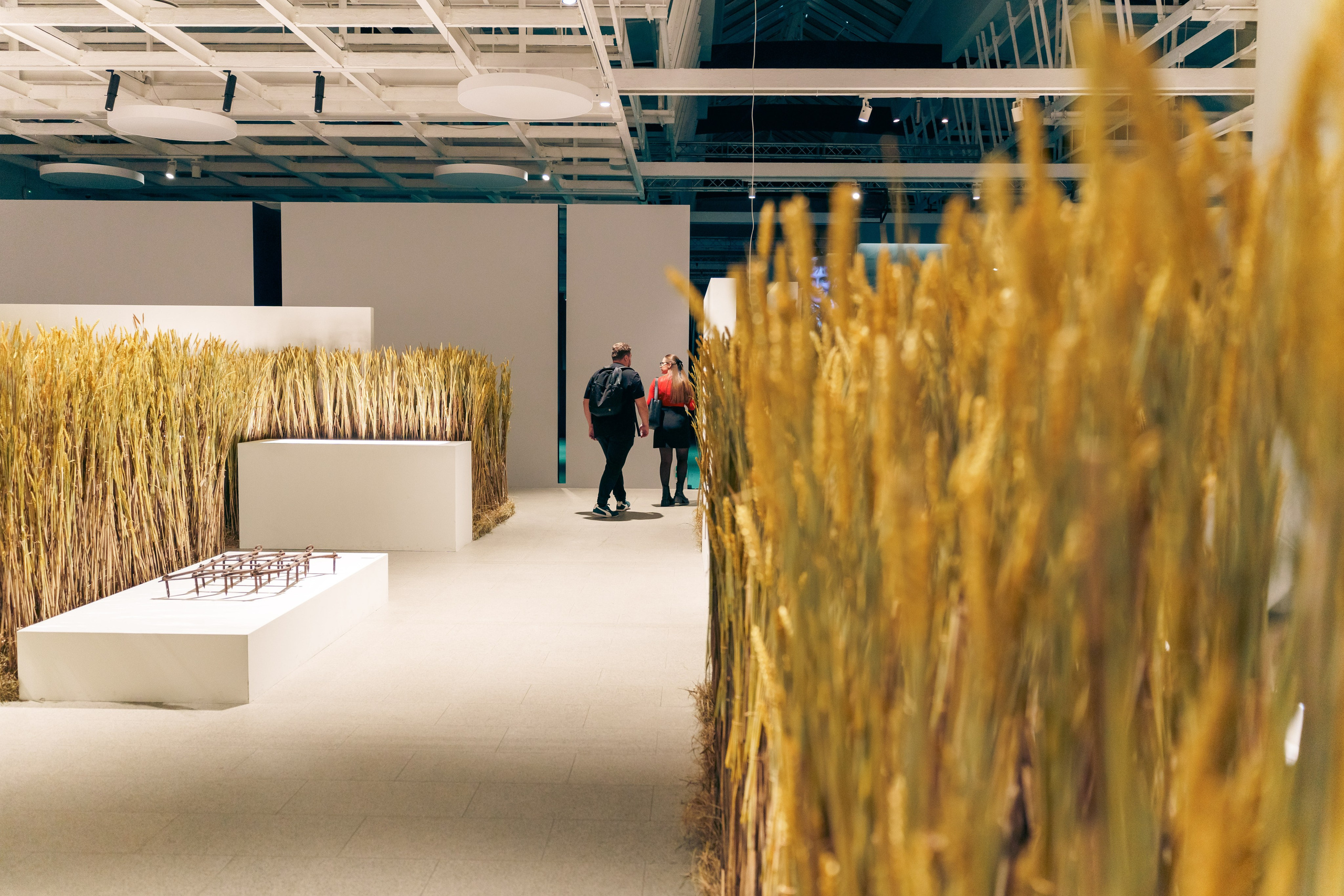 Выставка Великая страна — великая победа. Фотограф в Санкт-Петербурге Ибрагимова Алина