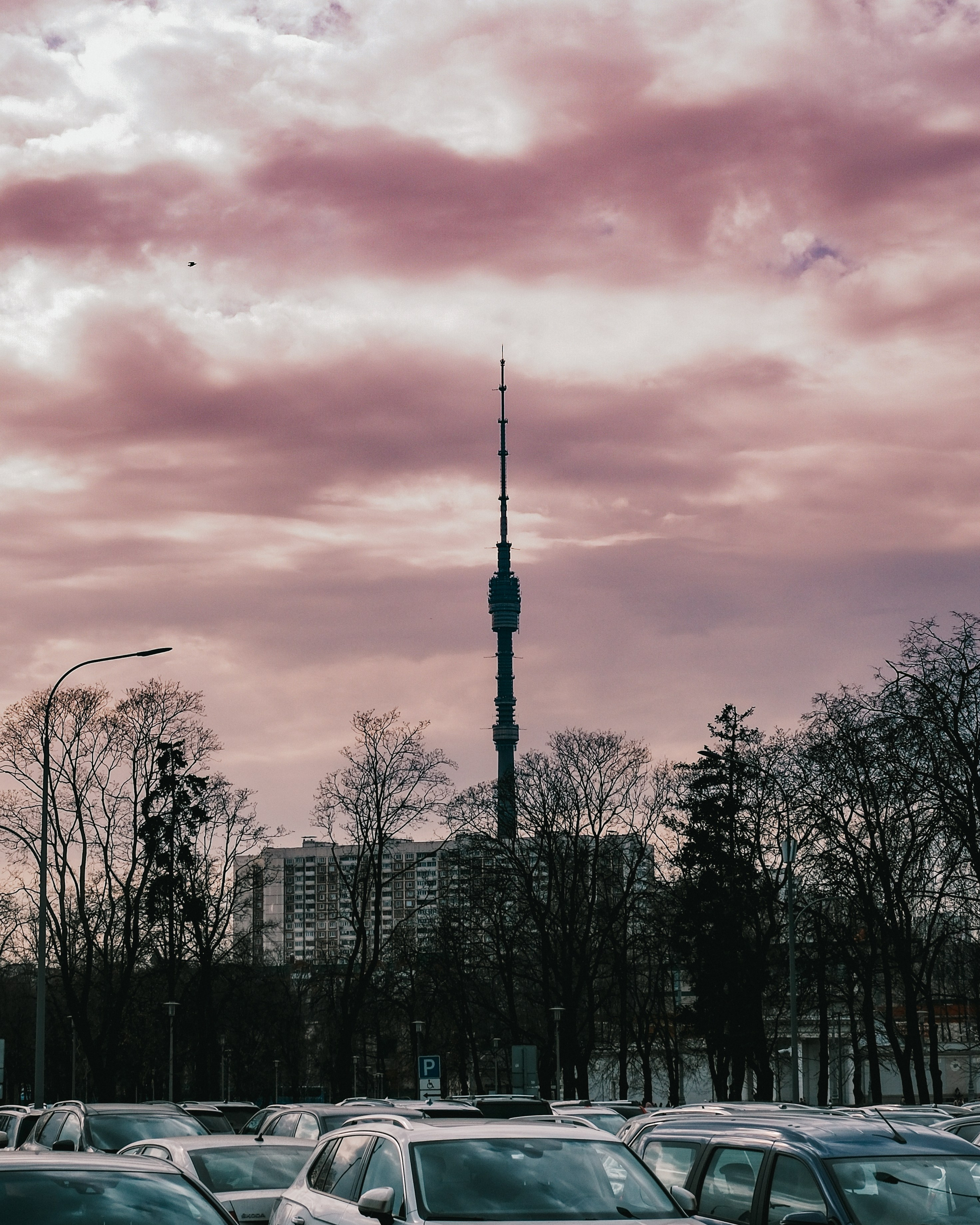 Московские зарисовки (сборник). Фотограф в Москве Полина Ефремова