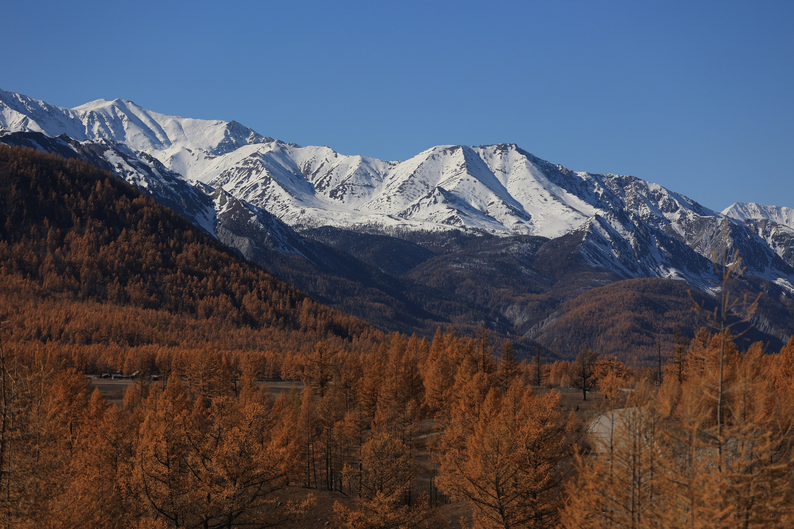 2023. Тащилин Сергей. Фотографии. Жизнь. Хобби