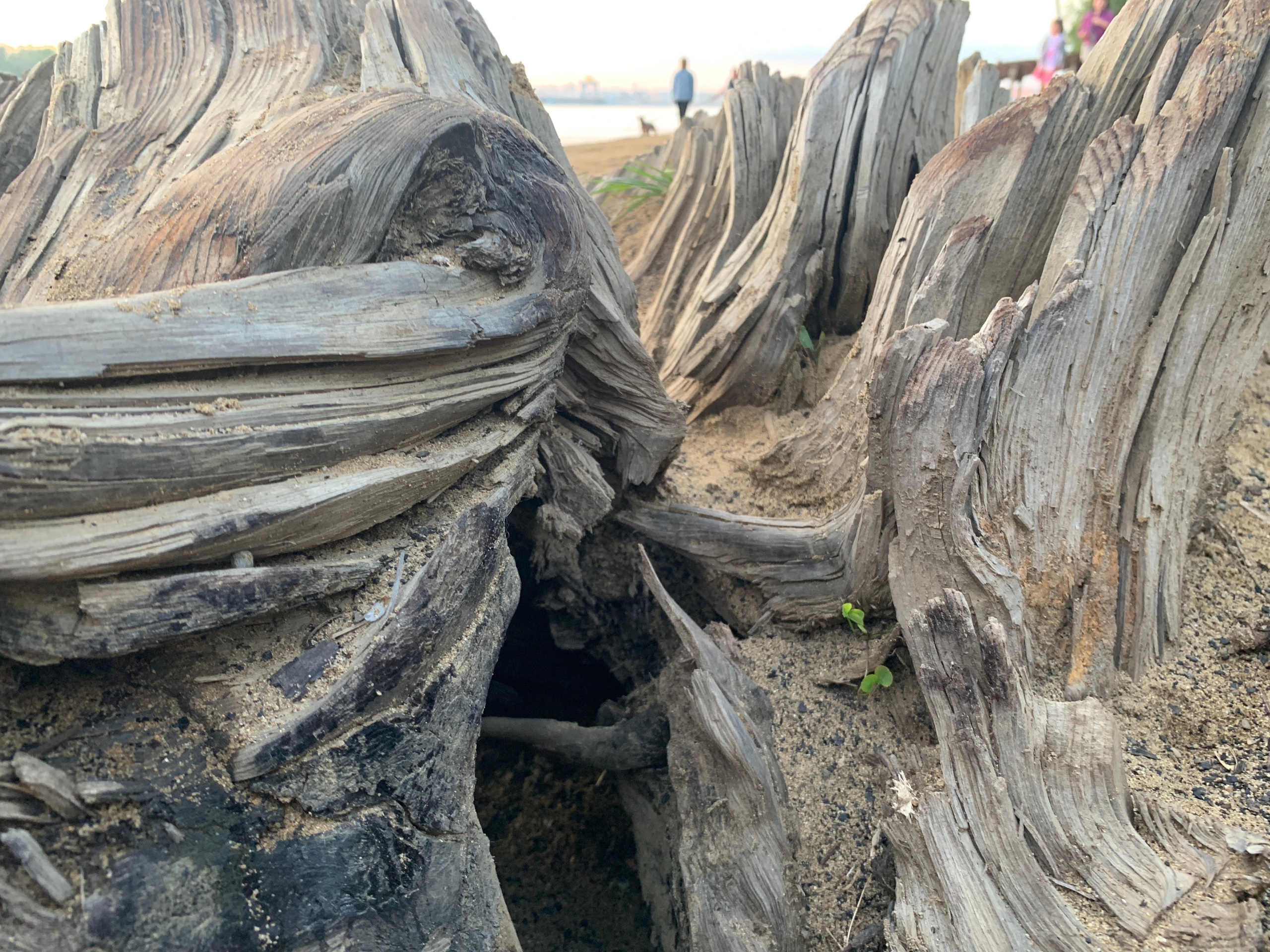 2022. Тащилин Сергей. Фотографии. Жизнь. Хобби