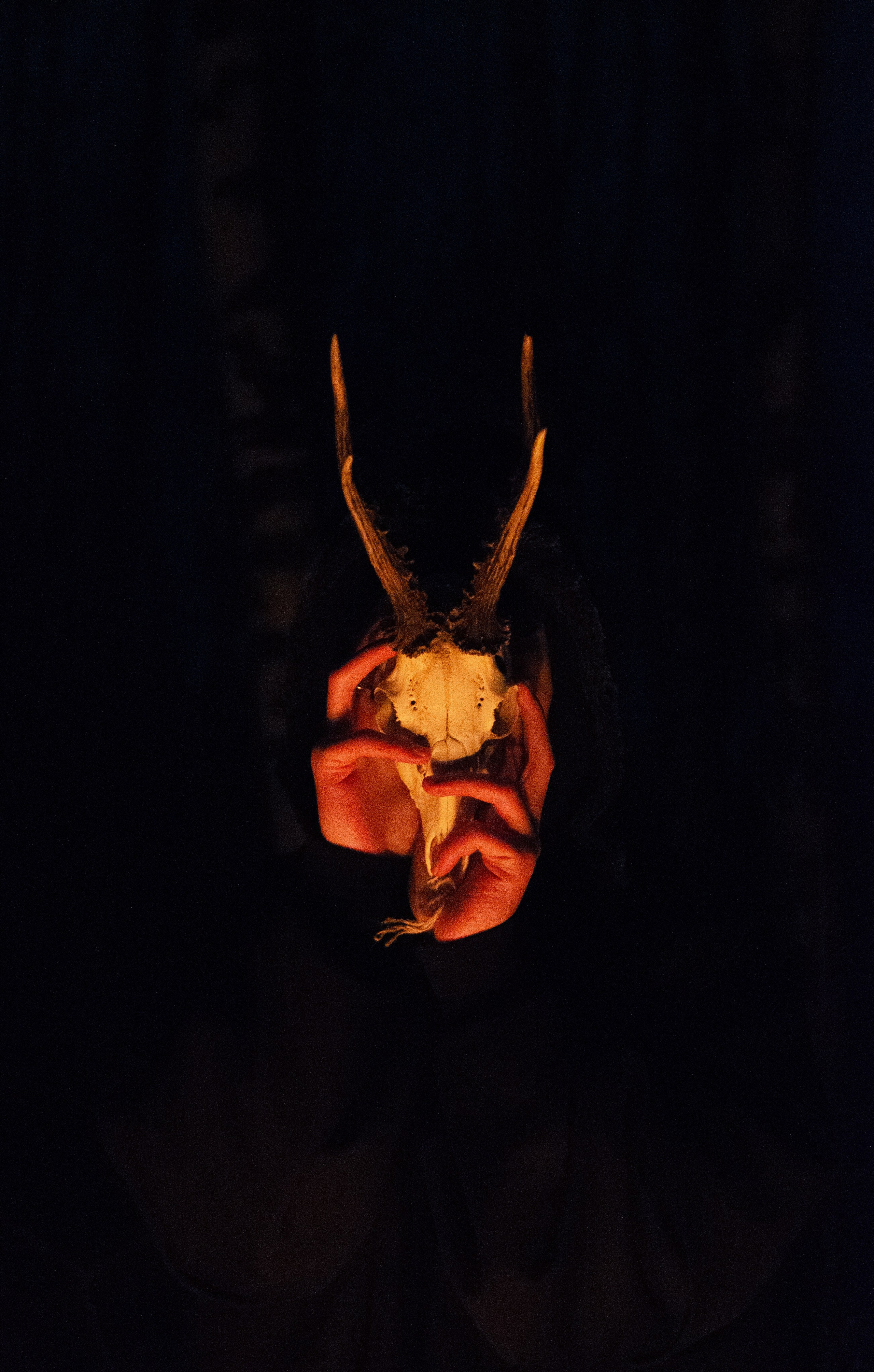 Фотограф СПб | Лесная фотосессия