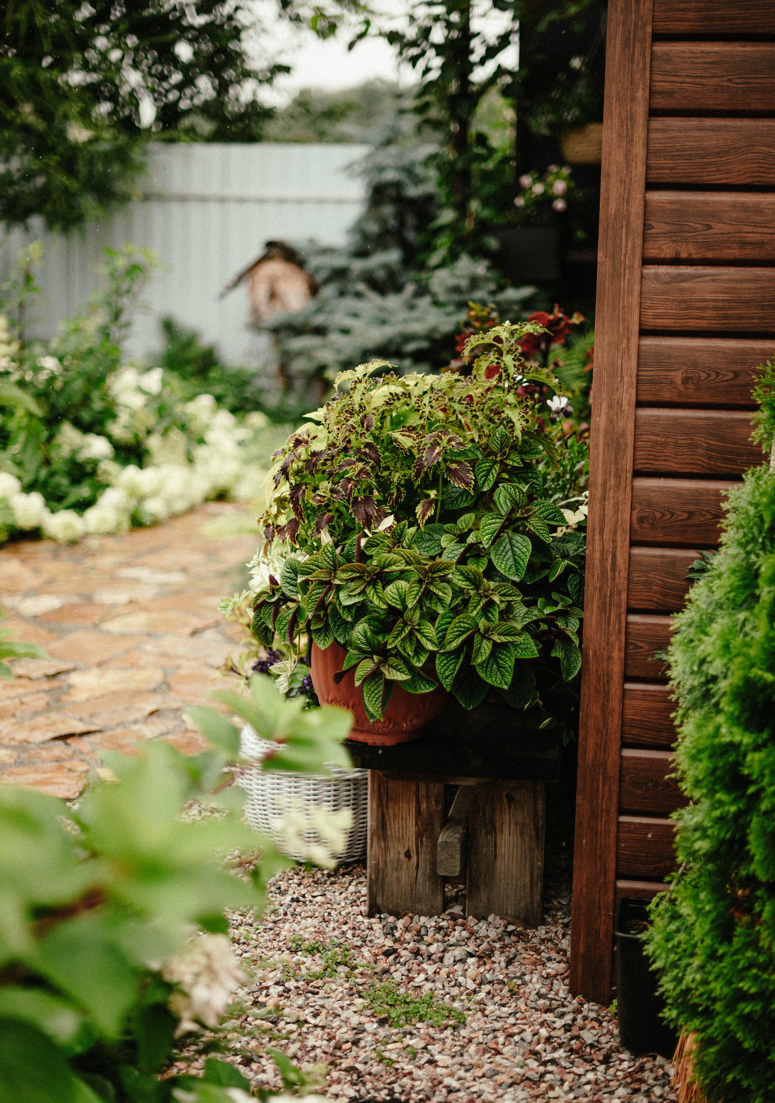 Лесное царство Оксаны. Свадебный и семейный фотограф в Новосибирске, Санкт-Петербурге, Москве