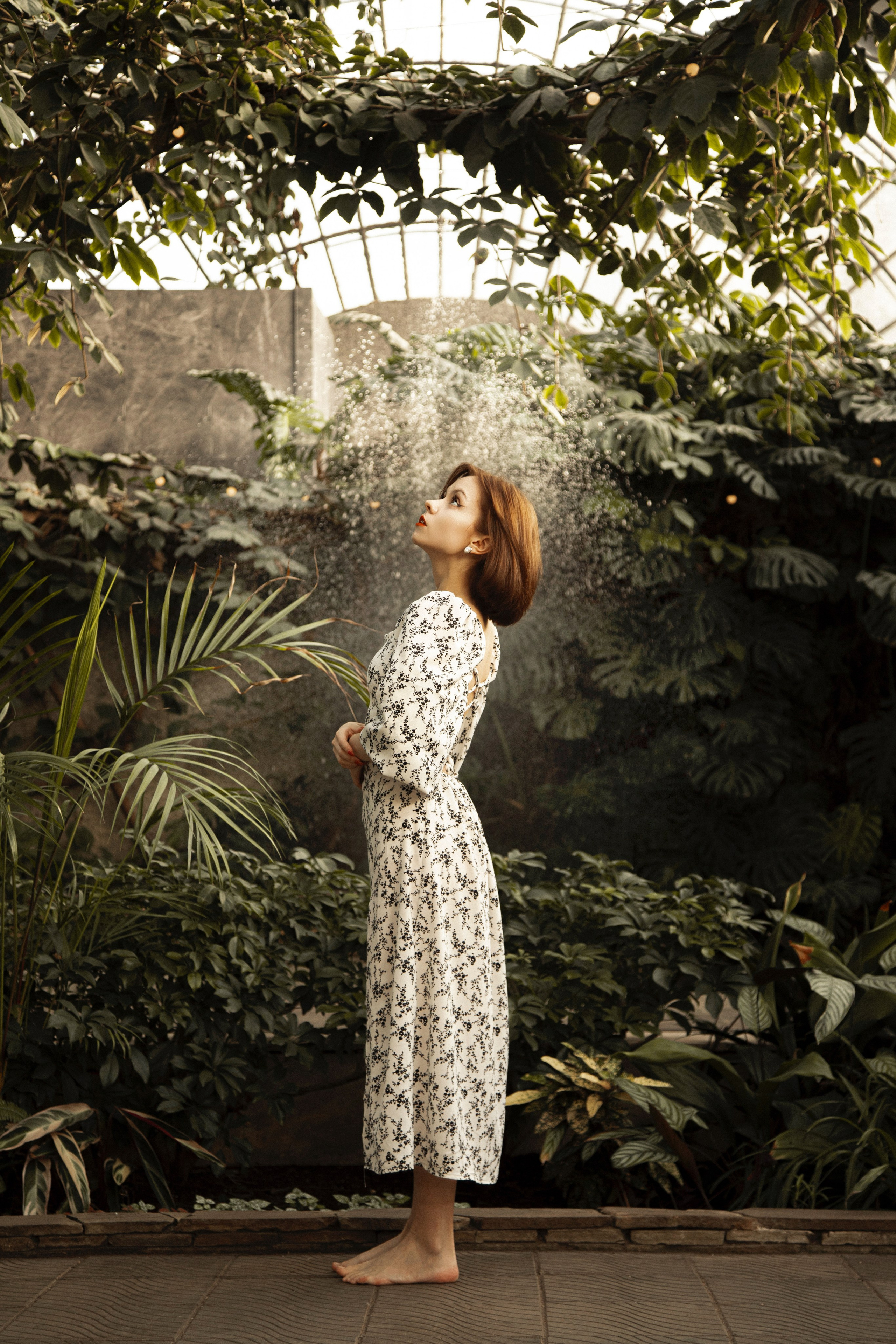 Оранжерея Таврического сада