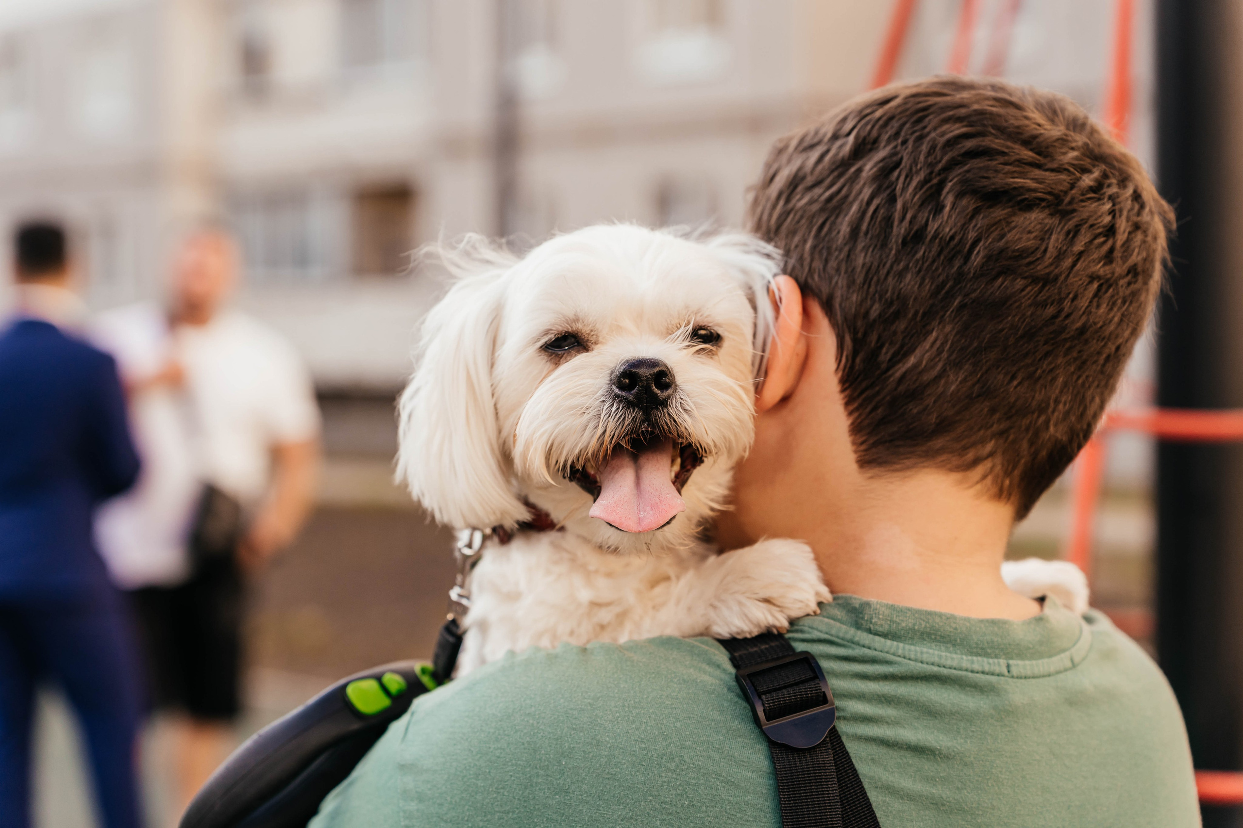 Репортажи. Главная