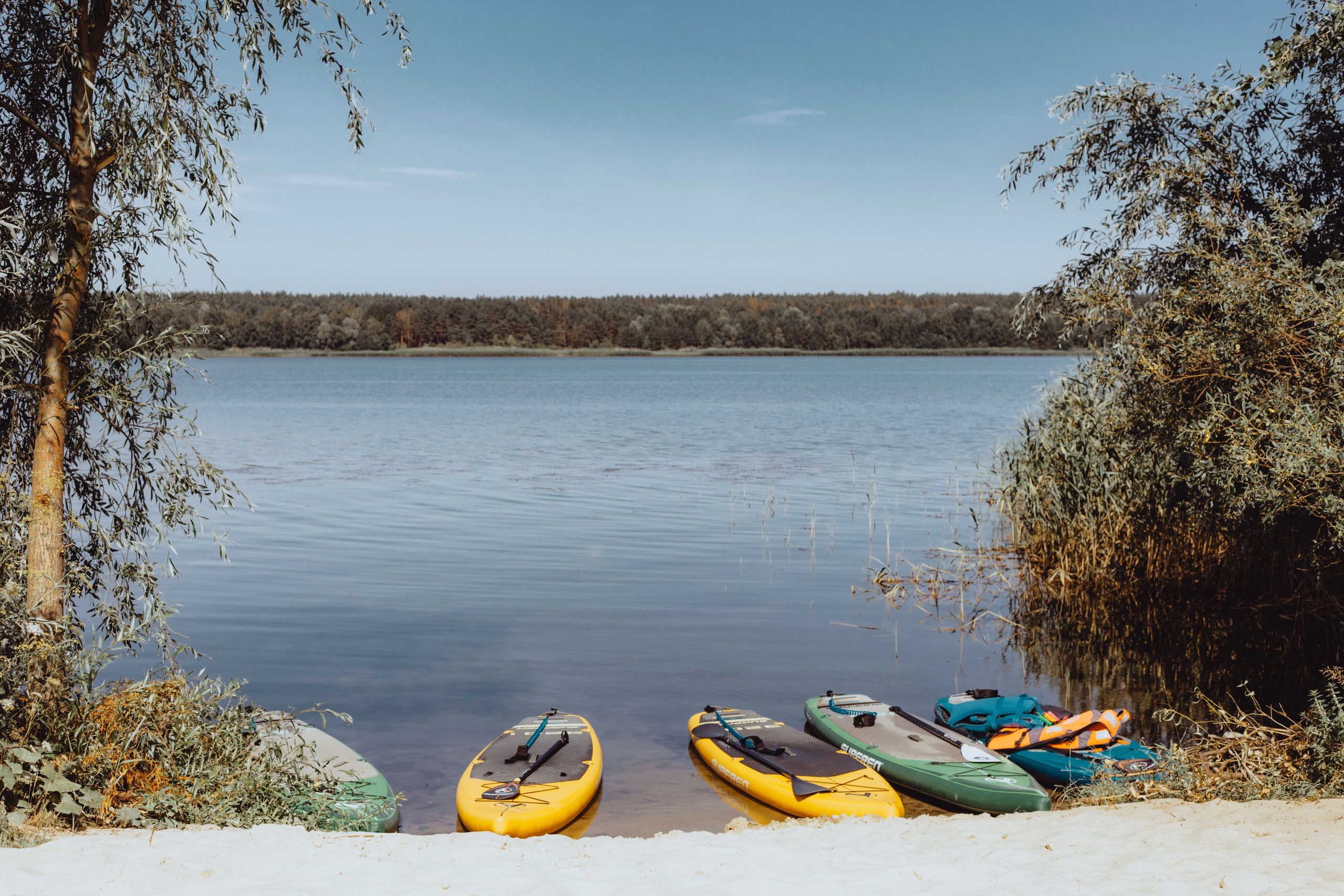 Арома-пикник. Фотограф Старый Оскол Мавлыга Мария