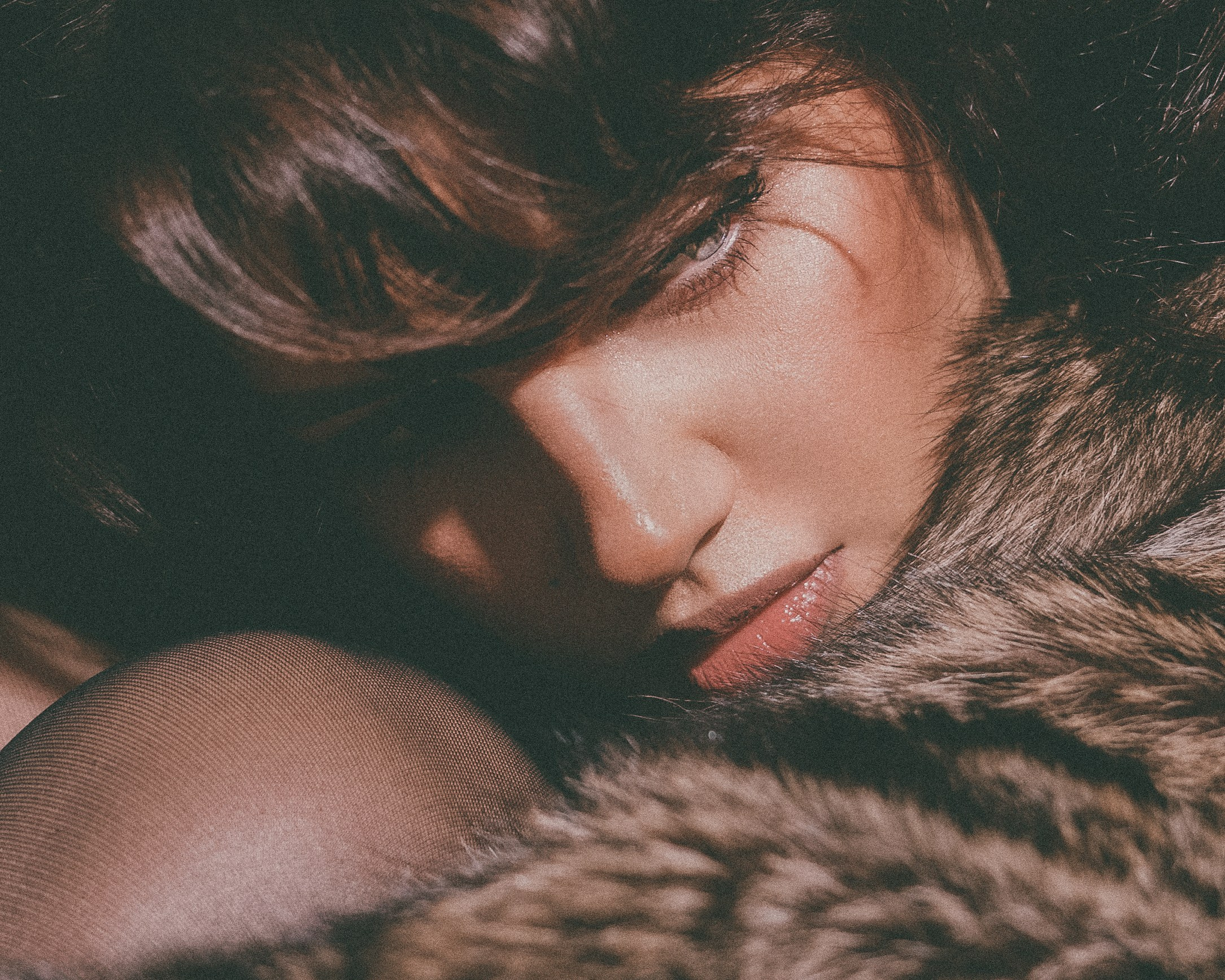 Rada. Главная