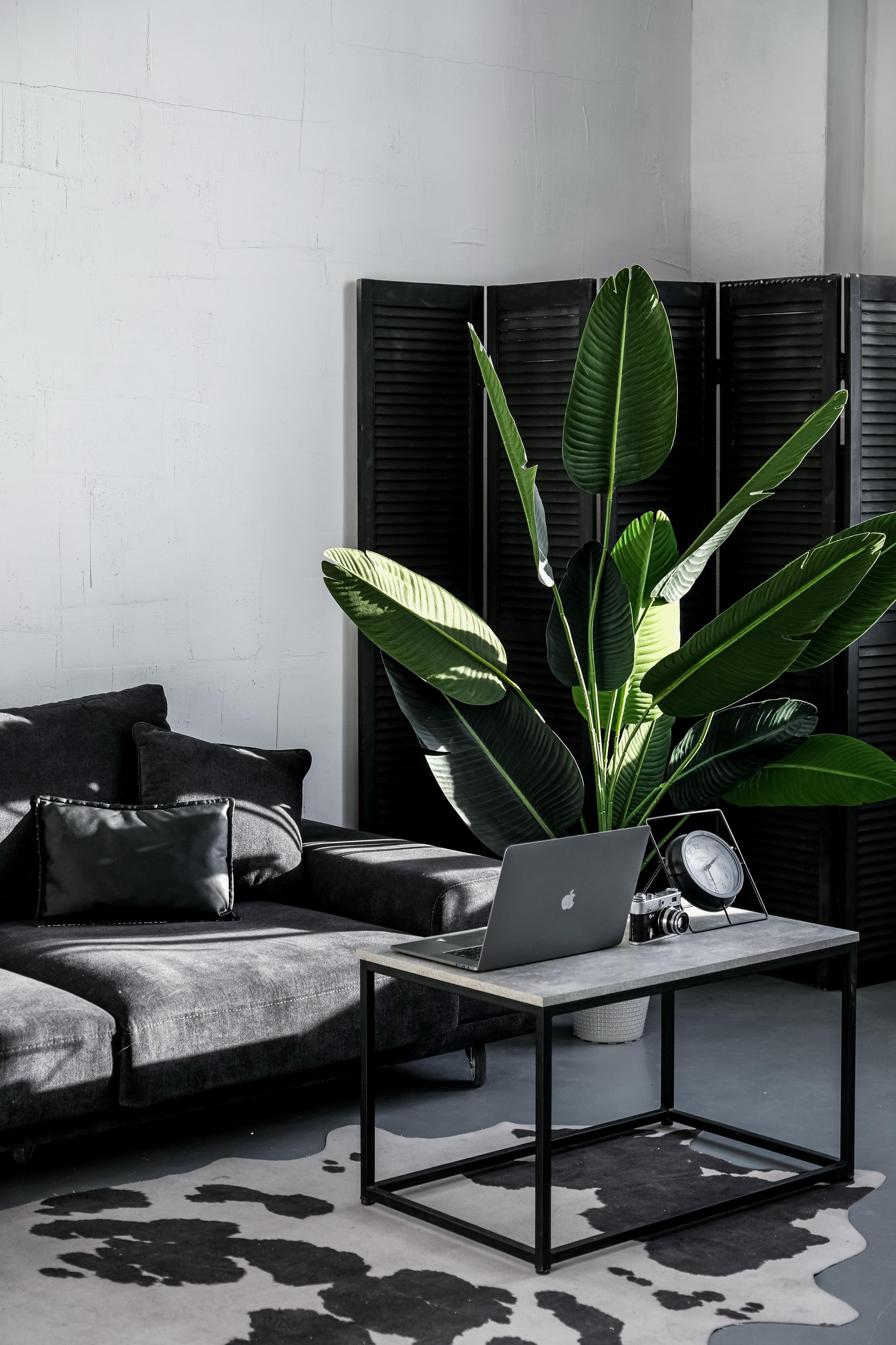 фотоальбом выпускника стильный, современные выпускные альбомы, классные выпускные альбомы