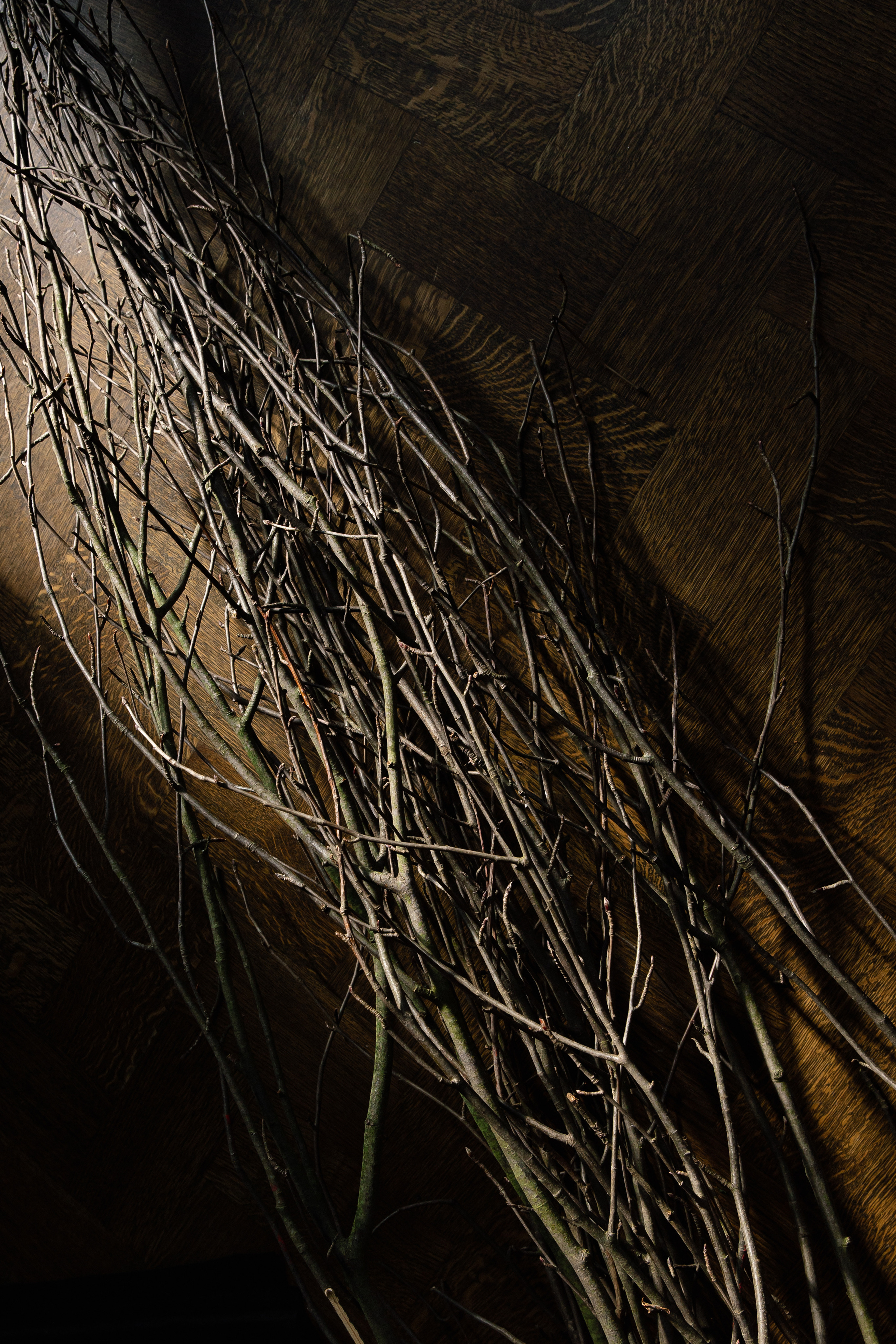 Нелли Ермолаева «На грани». Свадебный фотограф Москва и Санкт-Петерург Артем Мамонов