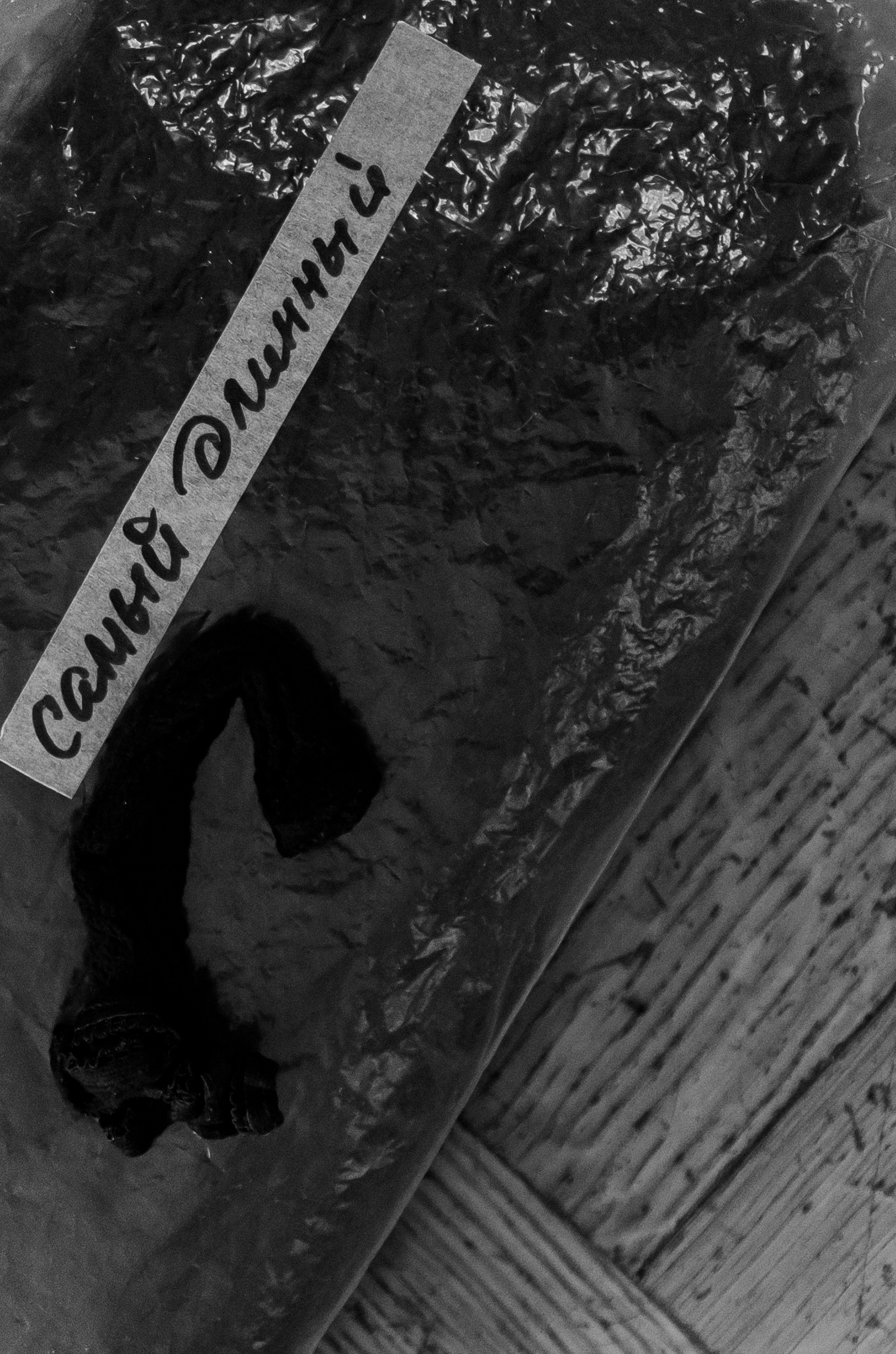 Нелли Ермолаева «На грани». Свадебный фотограф Москва и Санкт-Петерург Артем Мамонов