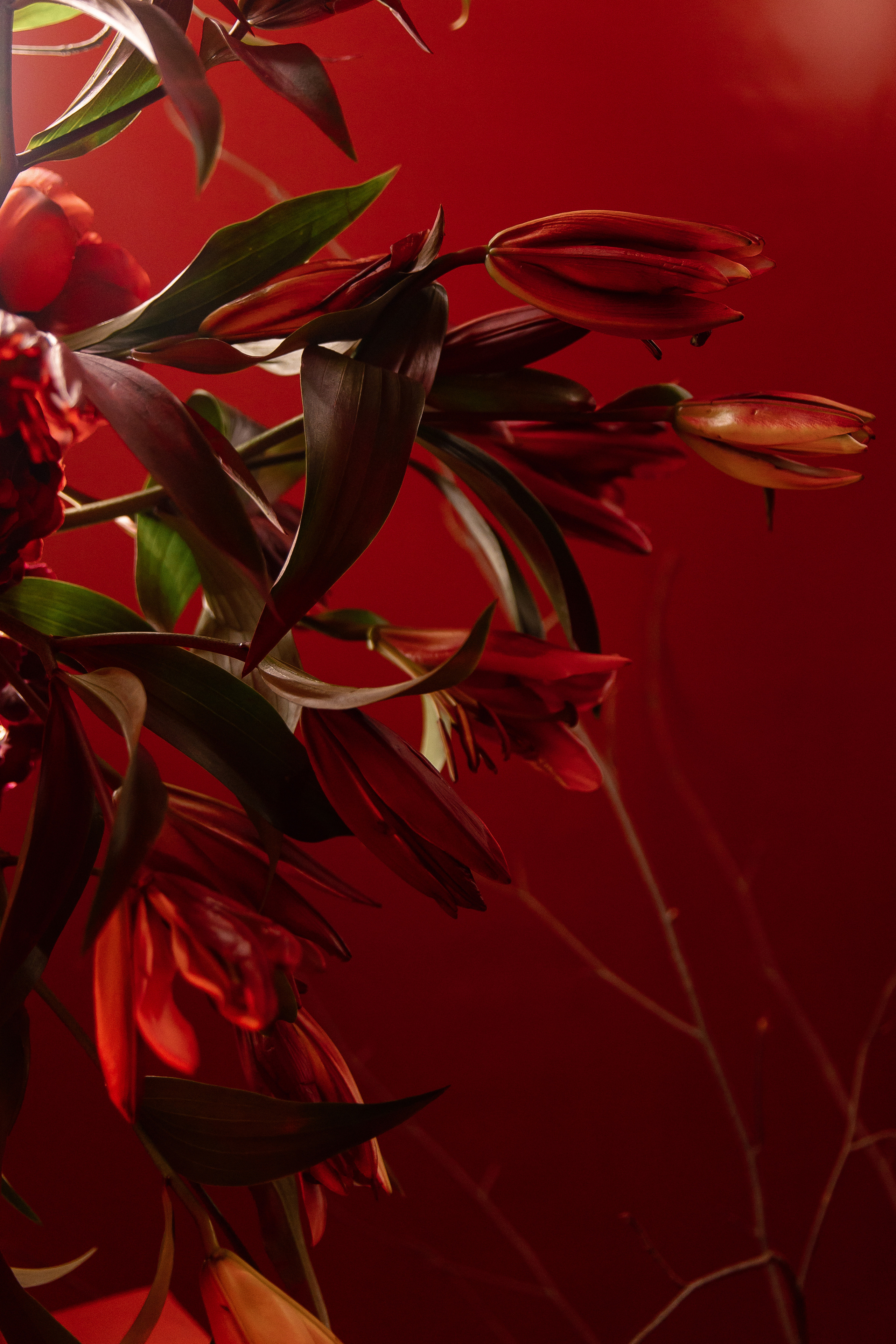 Нелли Ермолаева «На грани». Свадебный фотограф Москва и Санкт-Петерург Артем Мамонов