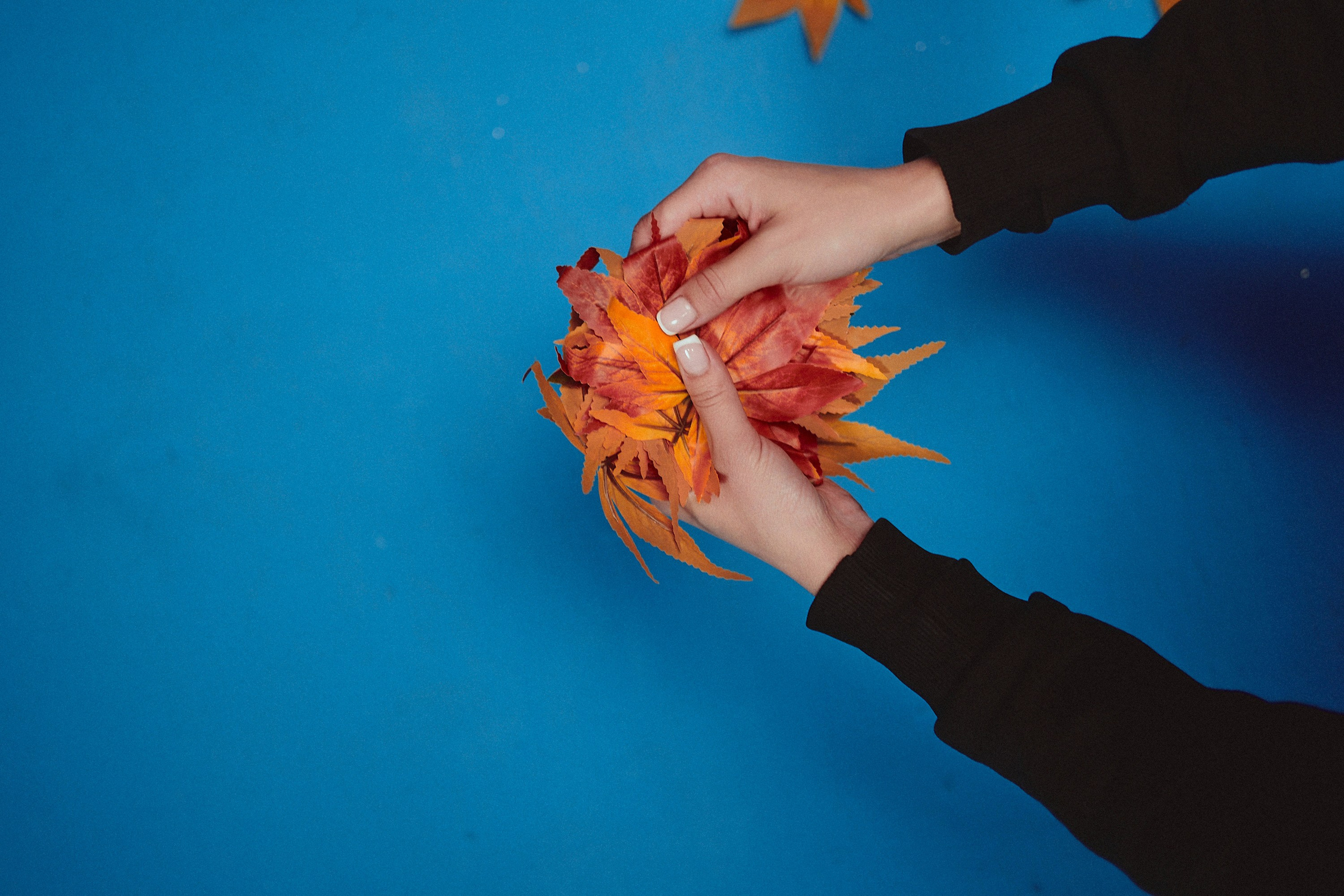 Бэкстейдж. Фотограф и оператор мероприятий, концертов и портретов в городе Москва