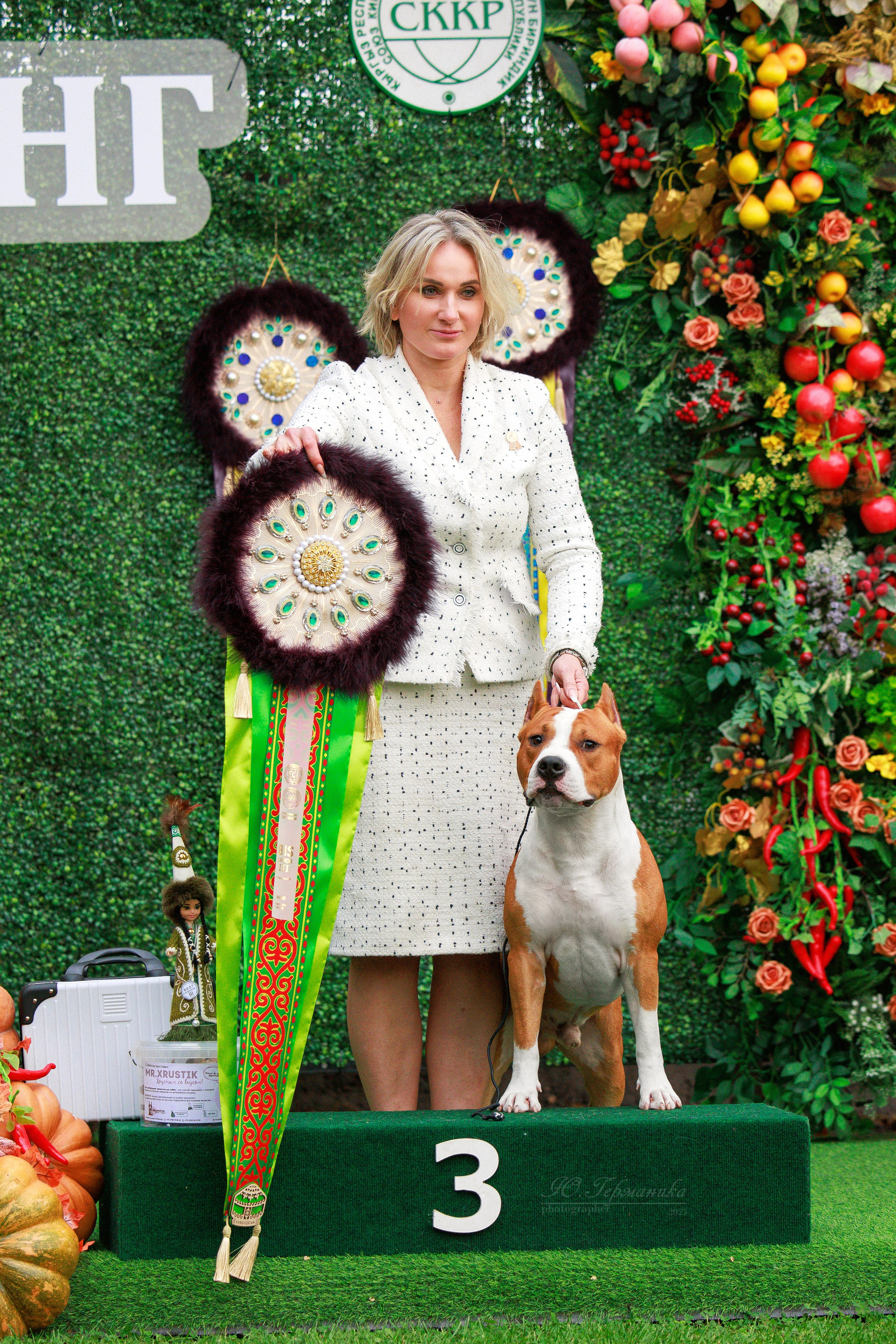 Бишкек 3х CACIB 26-28.09.2025. Фотограф-анималист Юлия Германика