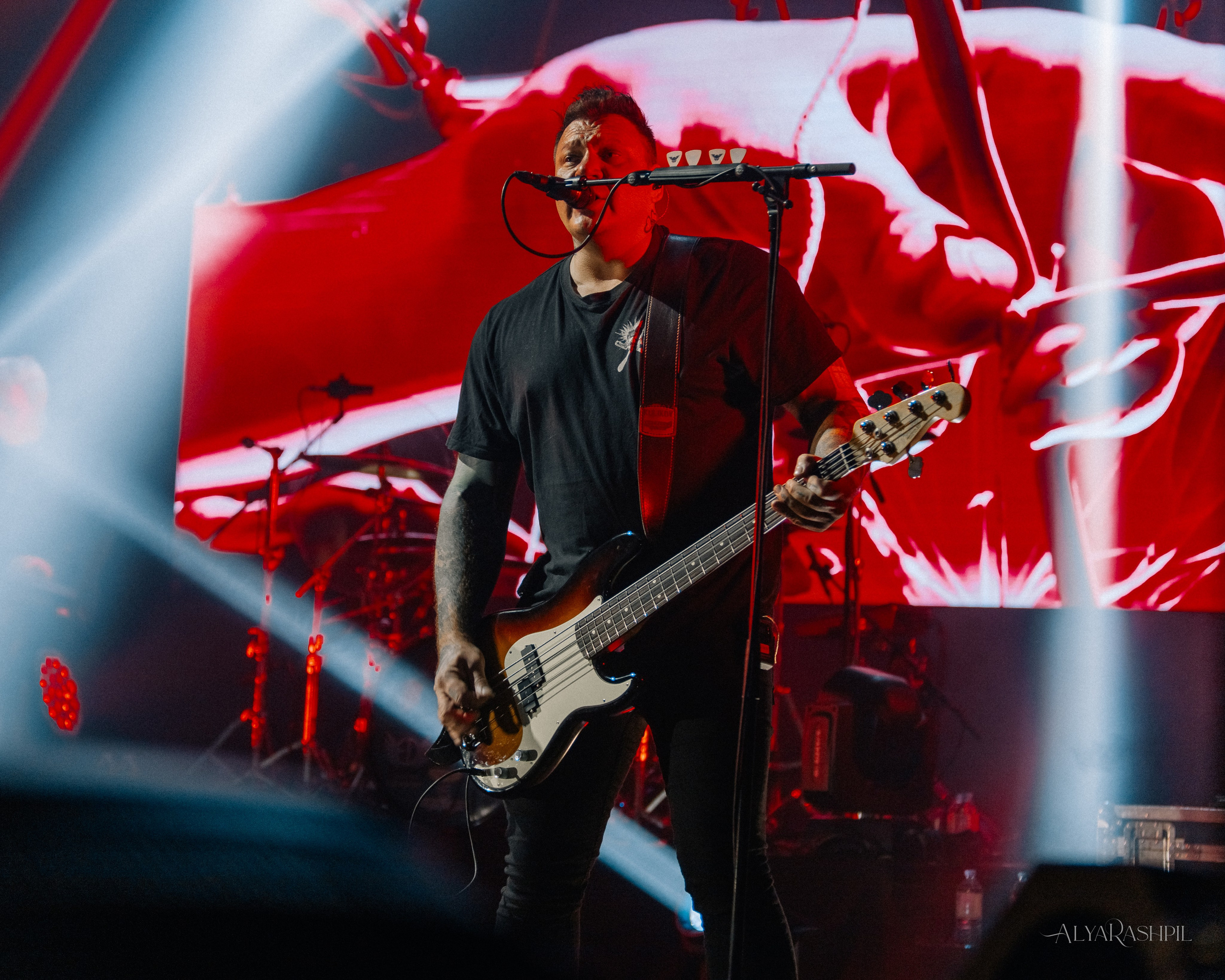 Северный Флот. ДК Сатурн (Раменское). Концертный фотограф Аля Рашпиль