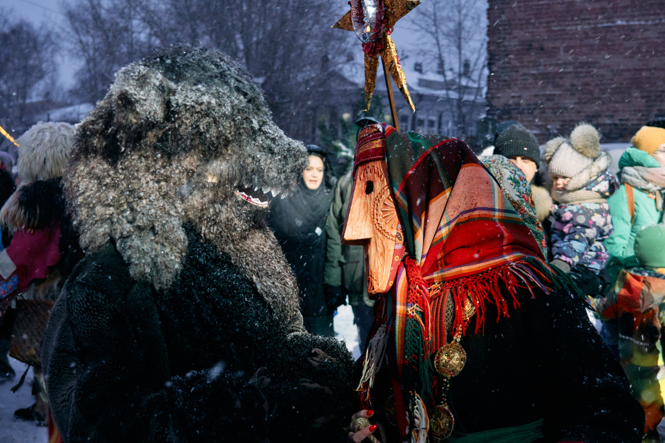 С медведем по соседям. Фотограф
