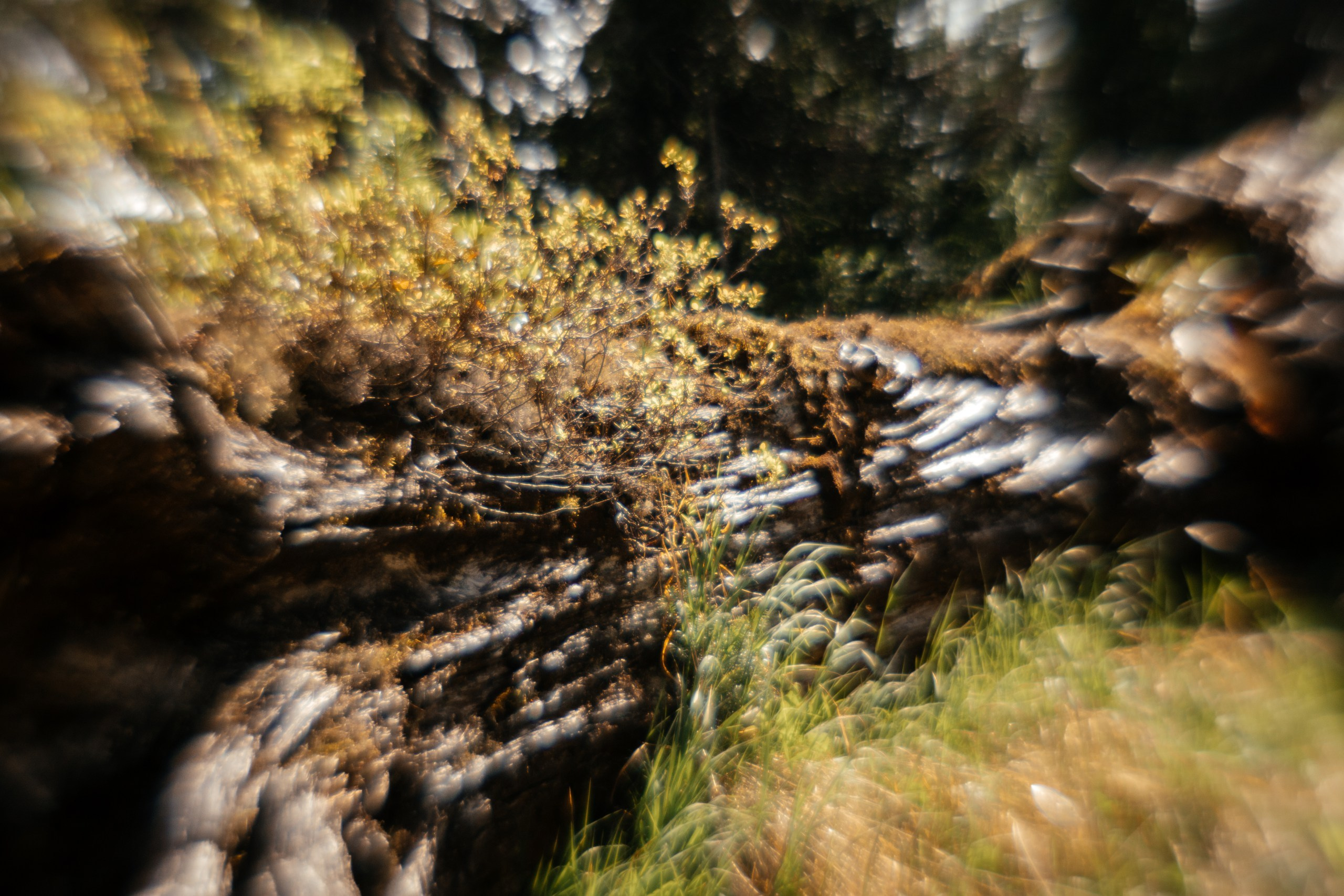 Ловец снов. Фотограф в Красноярске Оксана Корчагина