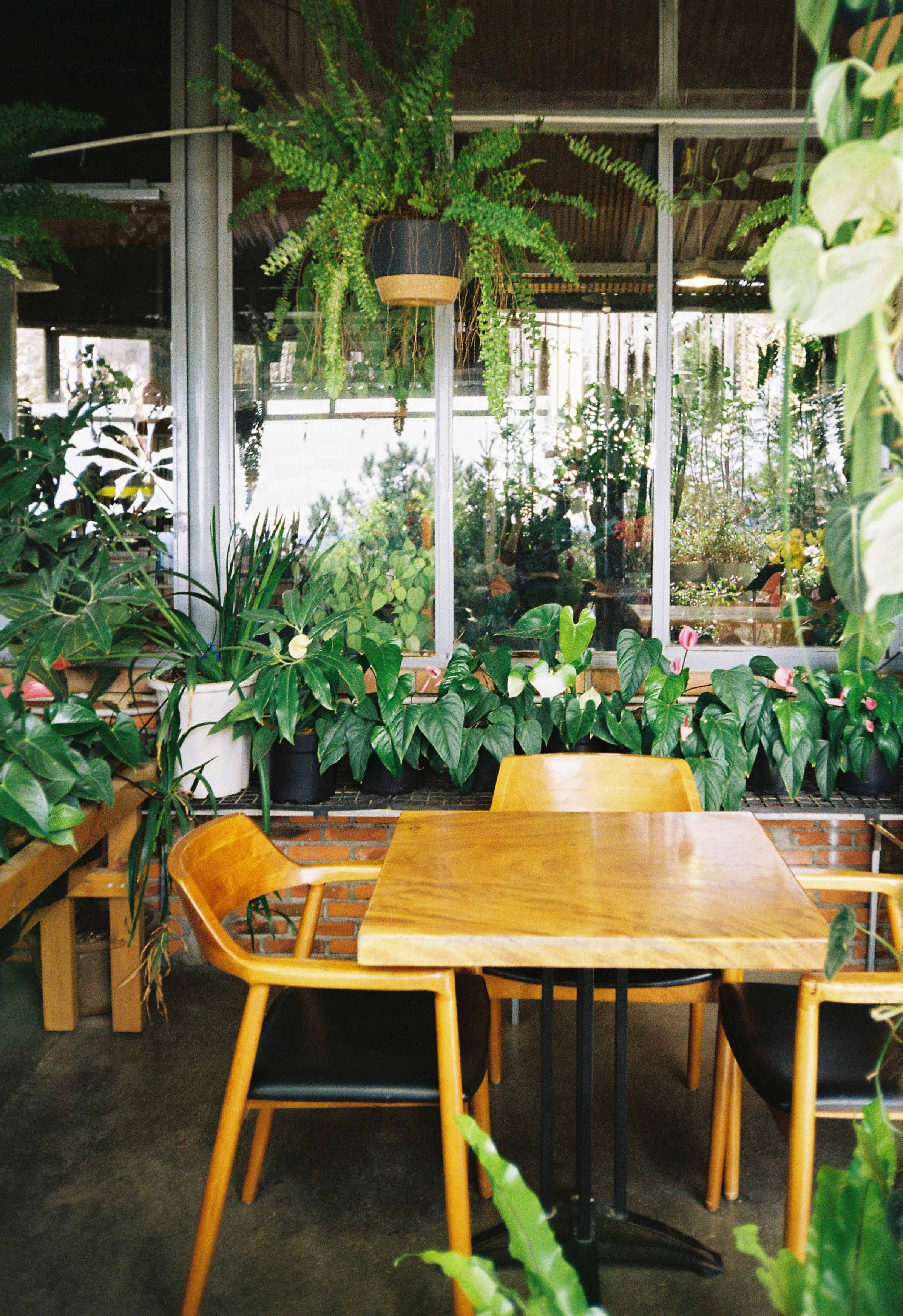 Dalat 2023. Film Photographer in Da Nang, Vietnam — Tanya Parfenteva