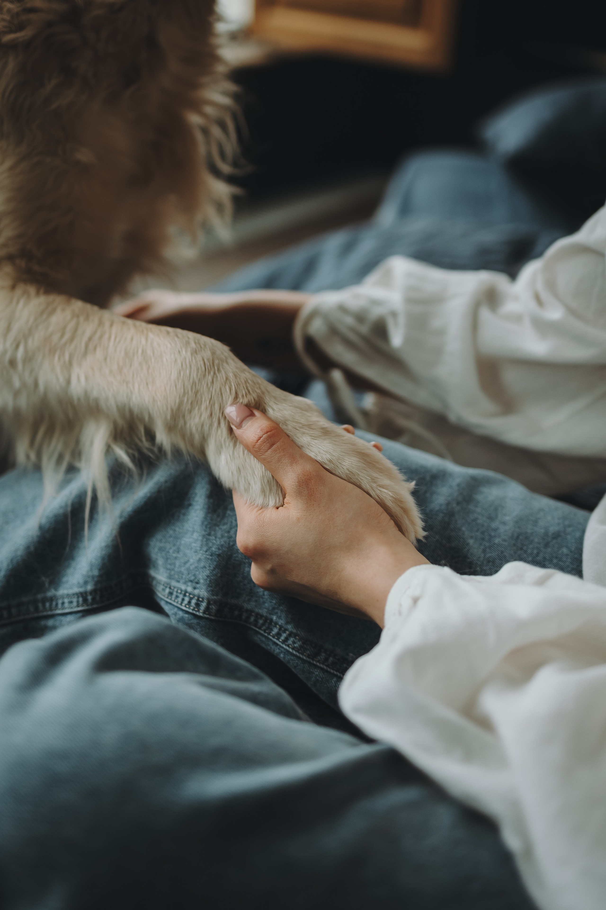Настя, Арчи и Арагон. Фотограф-анималист в Санкт-Петербурге Алина Яхонт